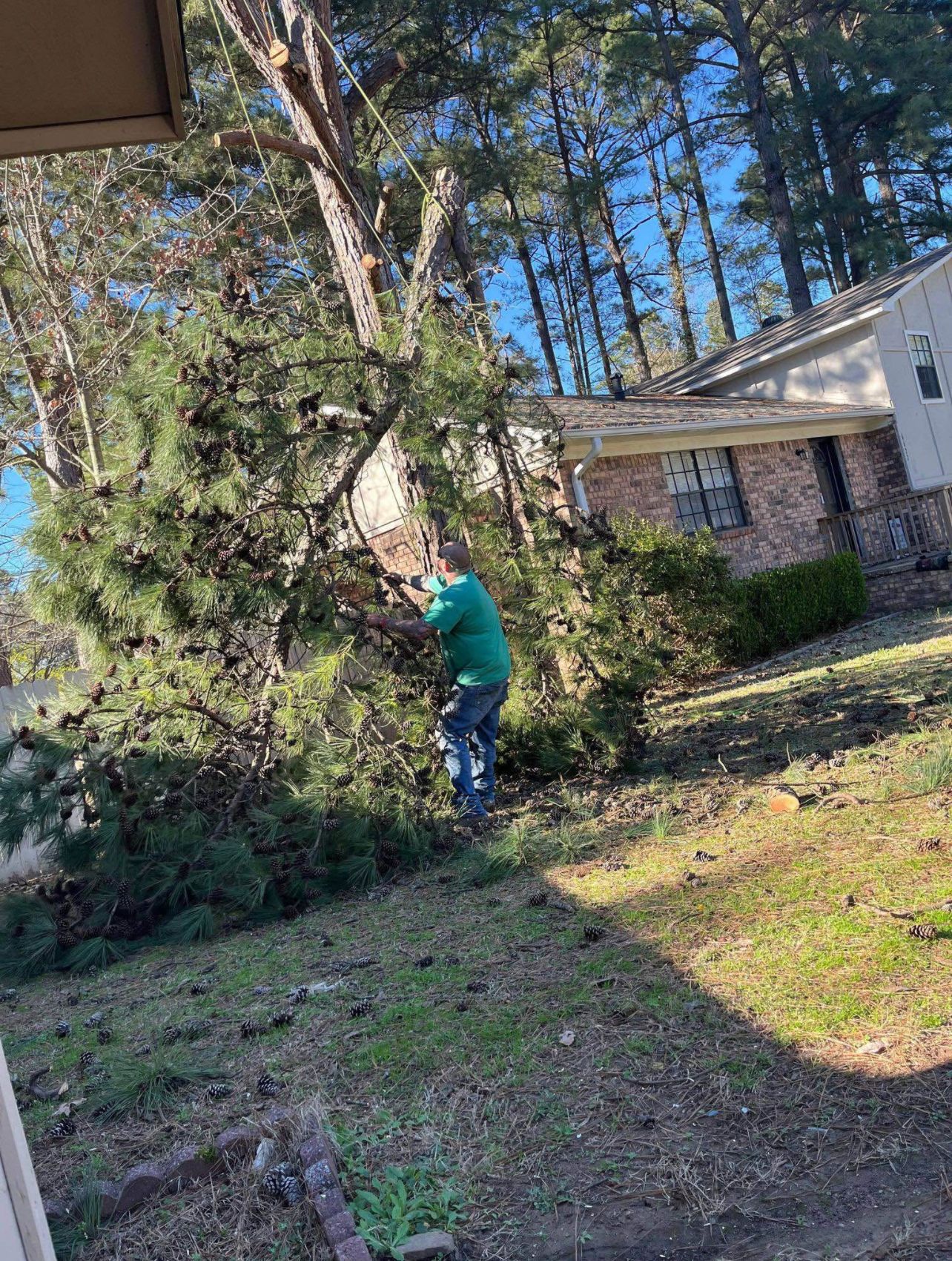 Tree Removal  for ABW Property Professionals in Hope Mills, NC