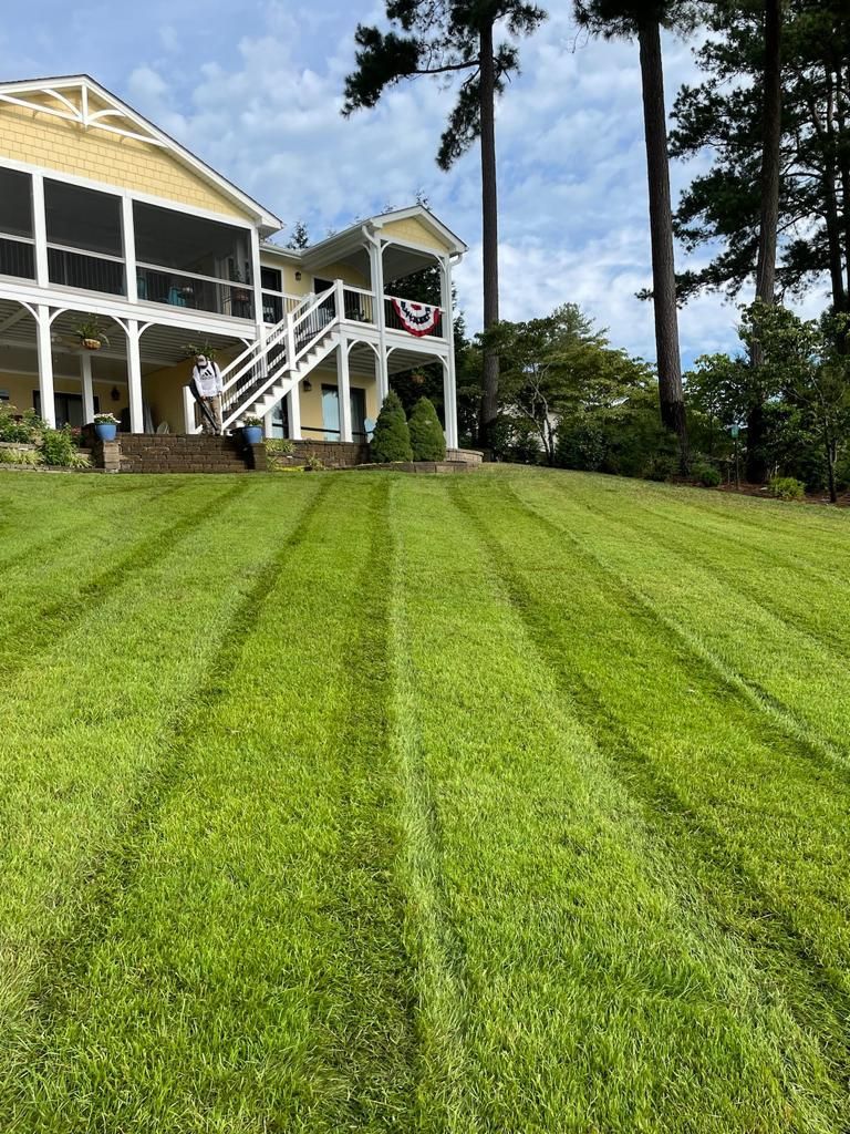 Tree Removal for Rosales Landscaping LLC in Lake Gaston, North Carolina