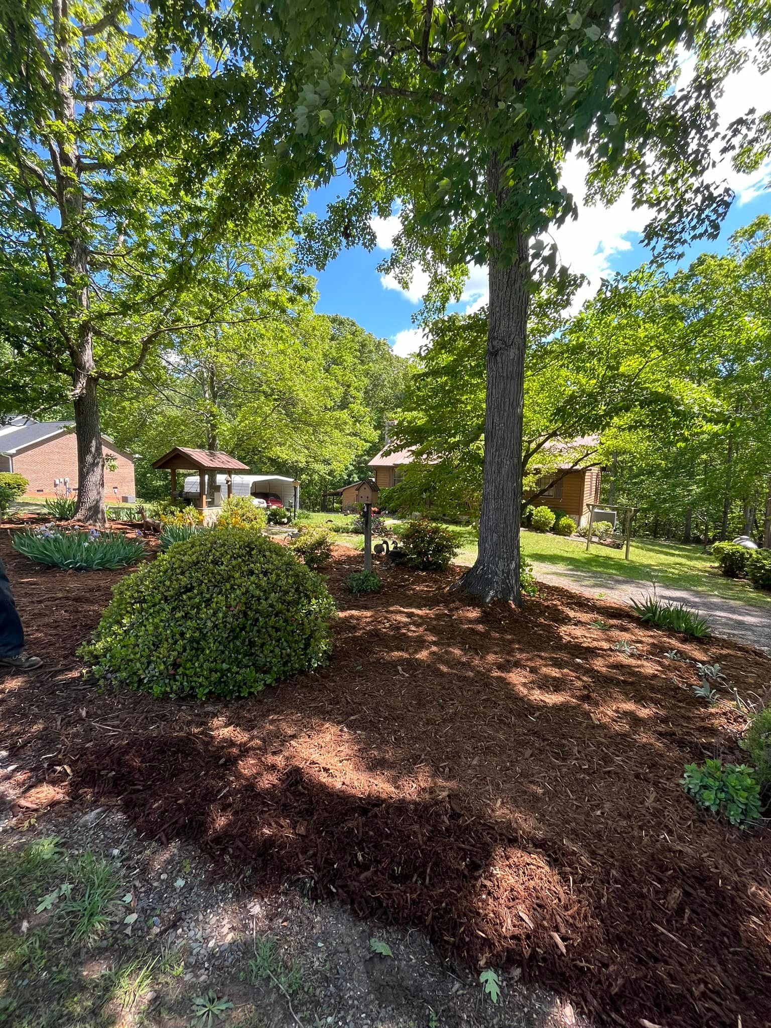  for DW’s Tree Service in Winston-Salem, NC