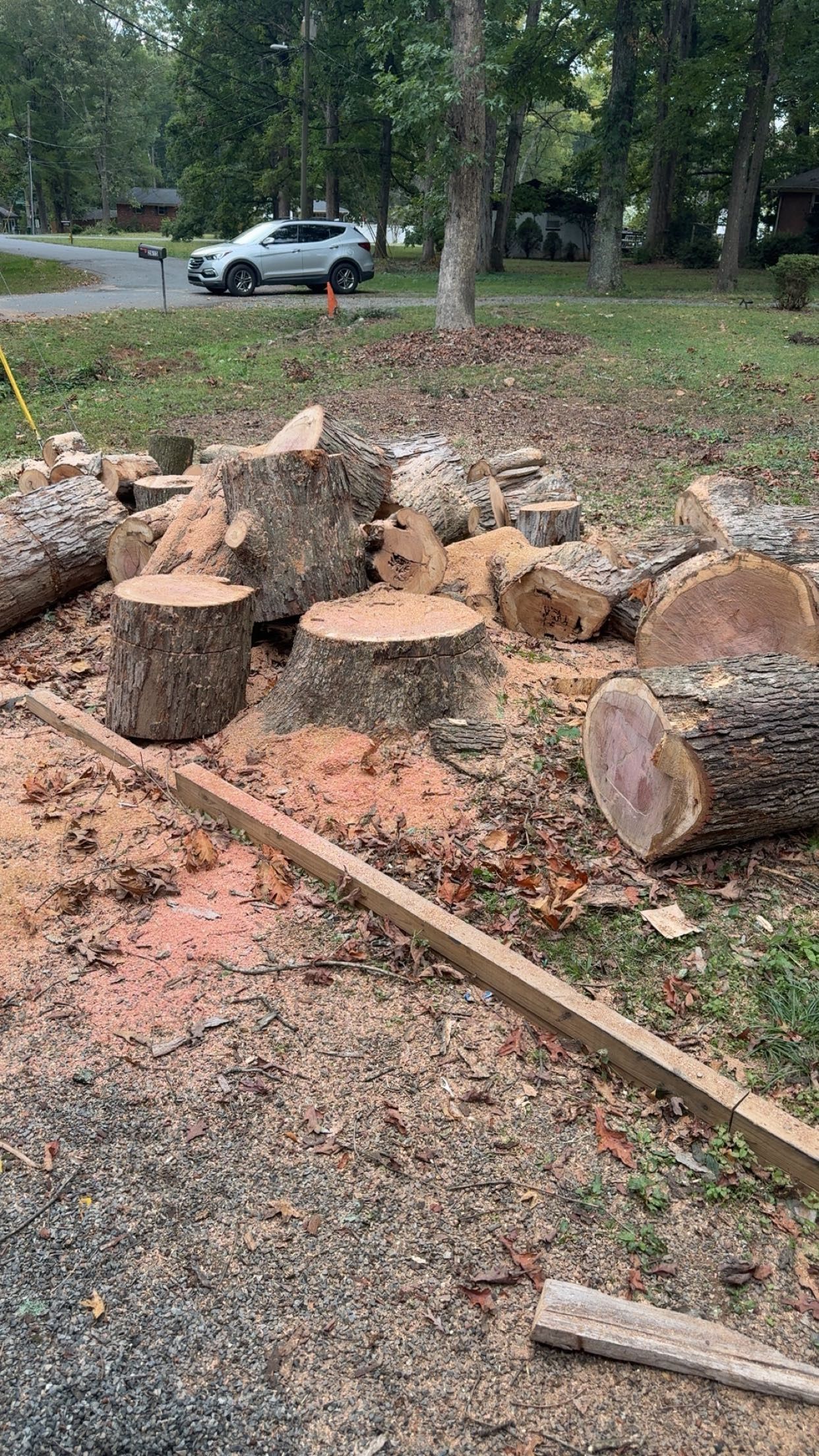  for Ramirez Tree Care in Elkin, NC
