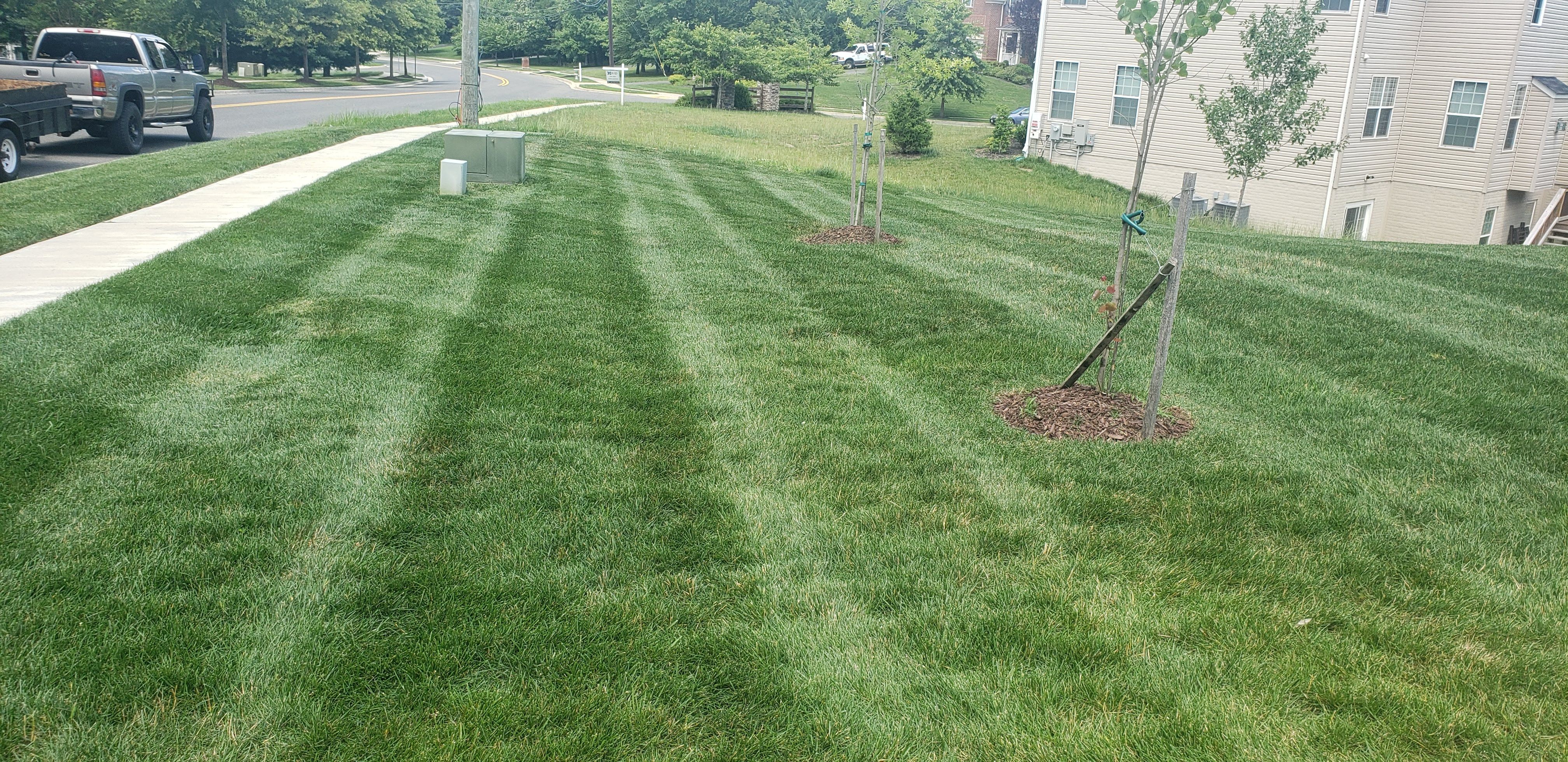  for Sam I AM Property Solutions in Sunderland, MD