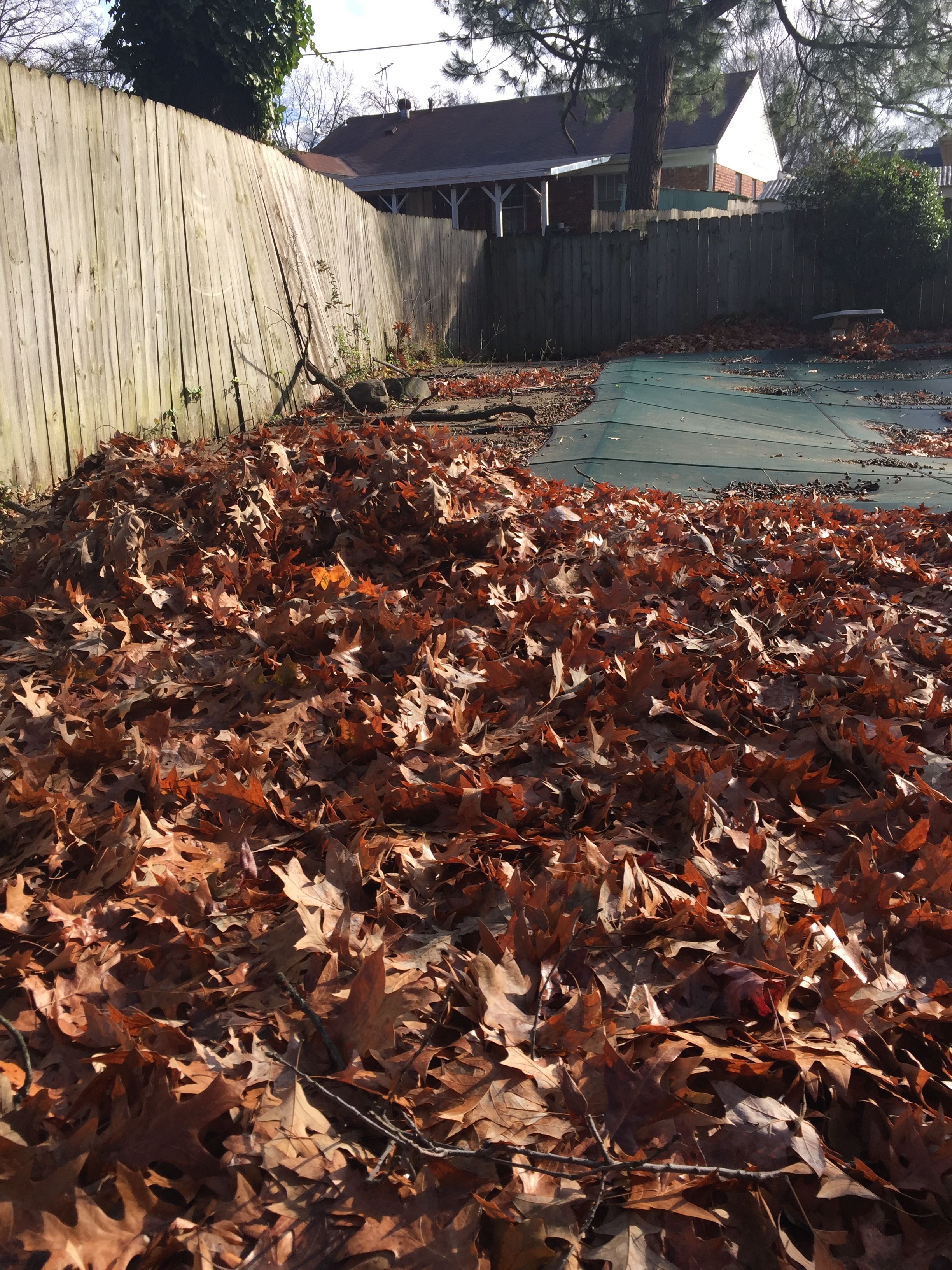 All Photos for Kingdom Landscaping in Memphis, TN