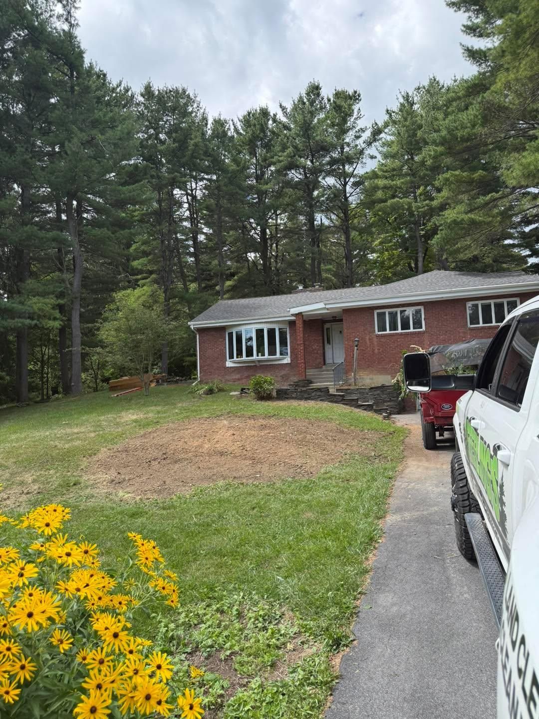  for Sterlings Tree Removal in Cobleskill, New York