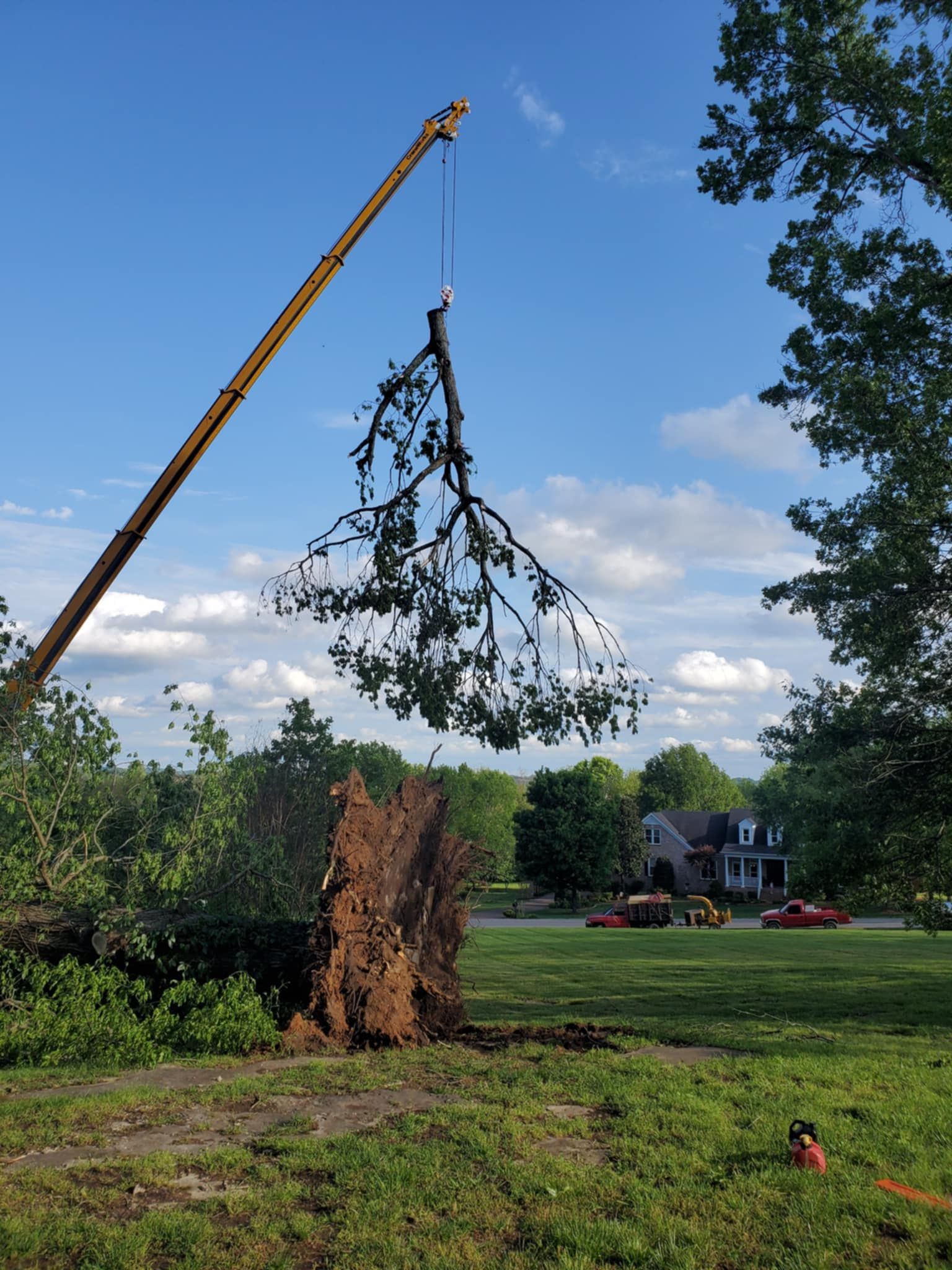  for Jace’s Tree & Stump Removal in Franklin, TN