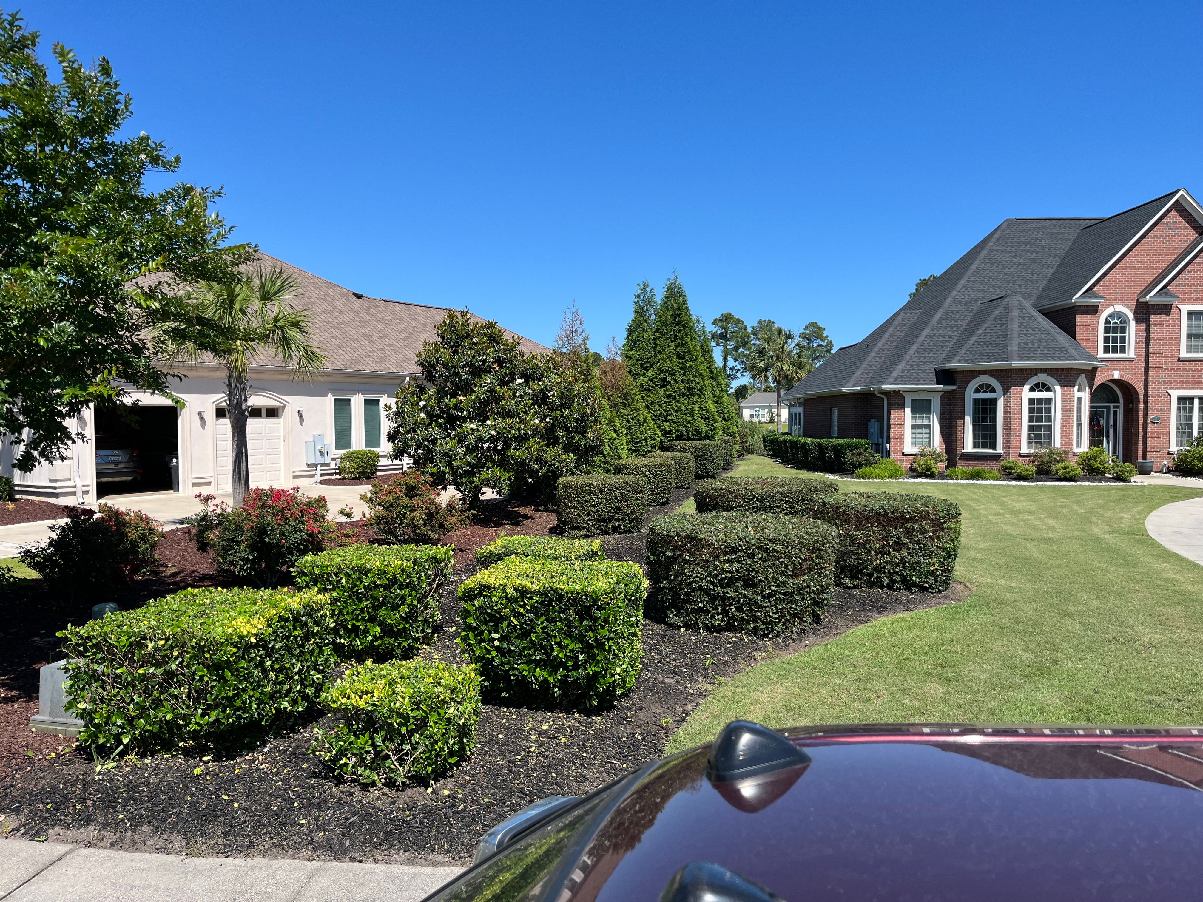  for New Creation Landscaping in Myrtle Beach, SC