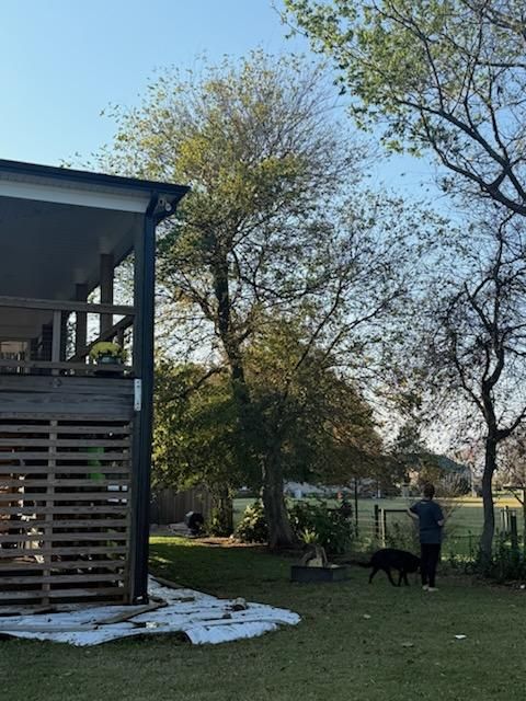  for Beach Tree Care in Virginia Beach, VA