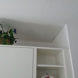  for Silva Painting Company in Kitty Hawk, NC