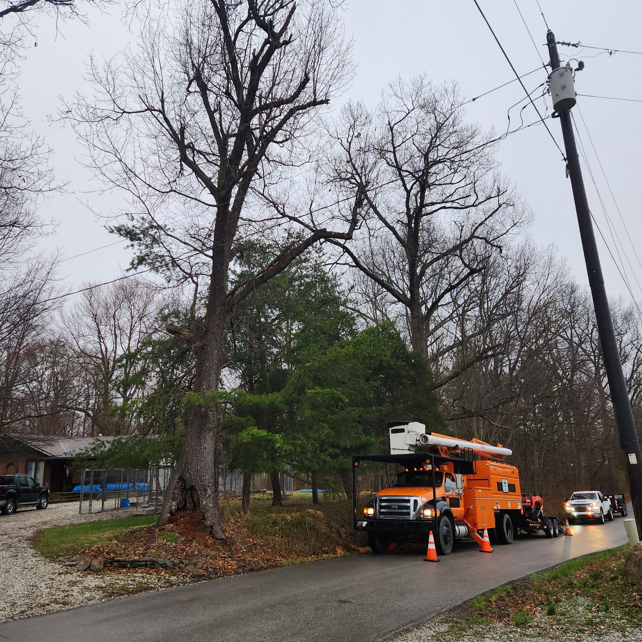  for Carpenter's Tree Service in Aurora, IN