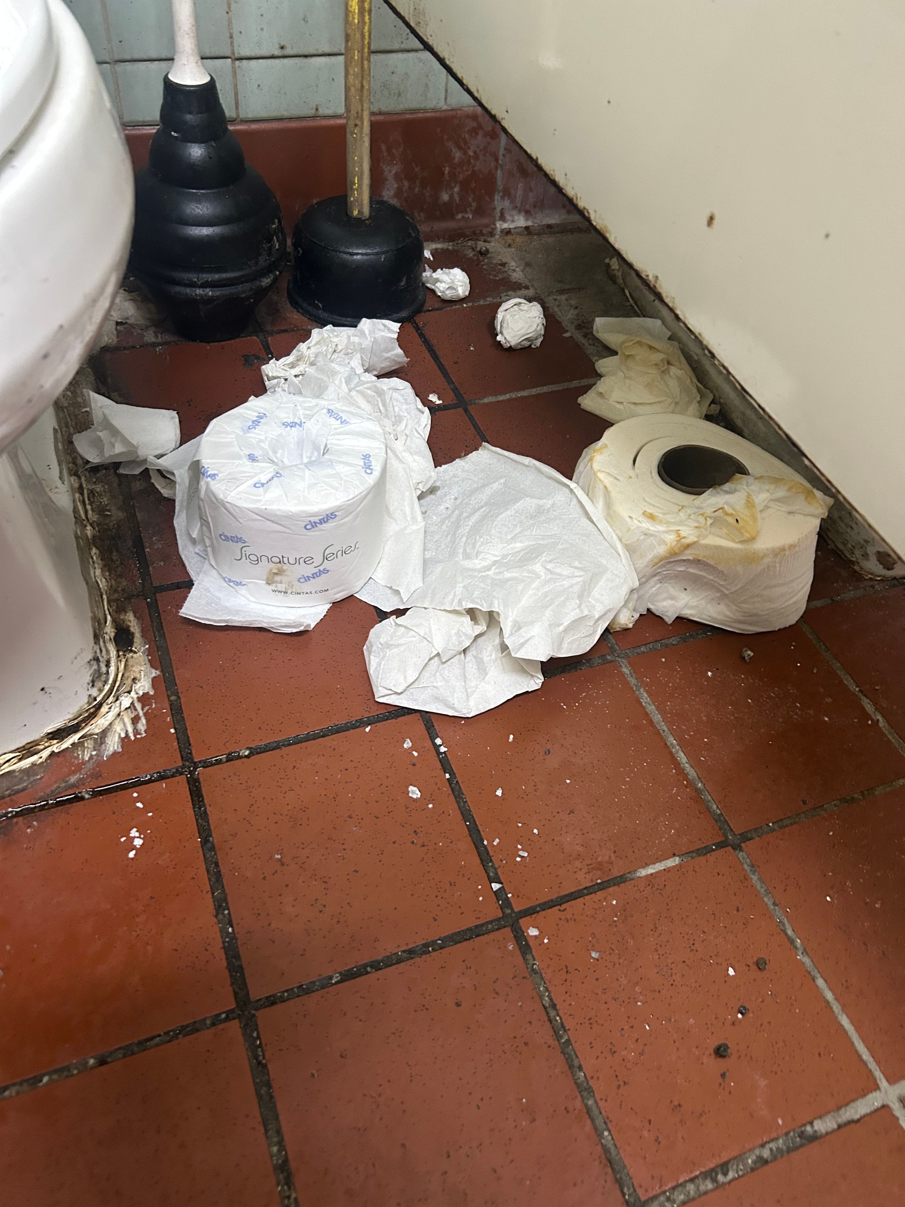  for Cleaning Carolina’s LLC in Greensboro, NC