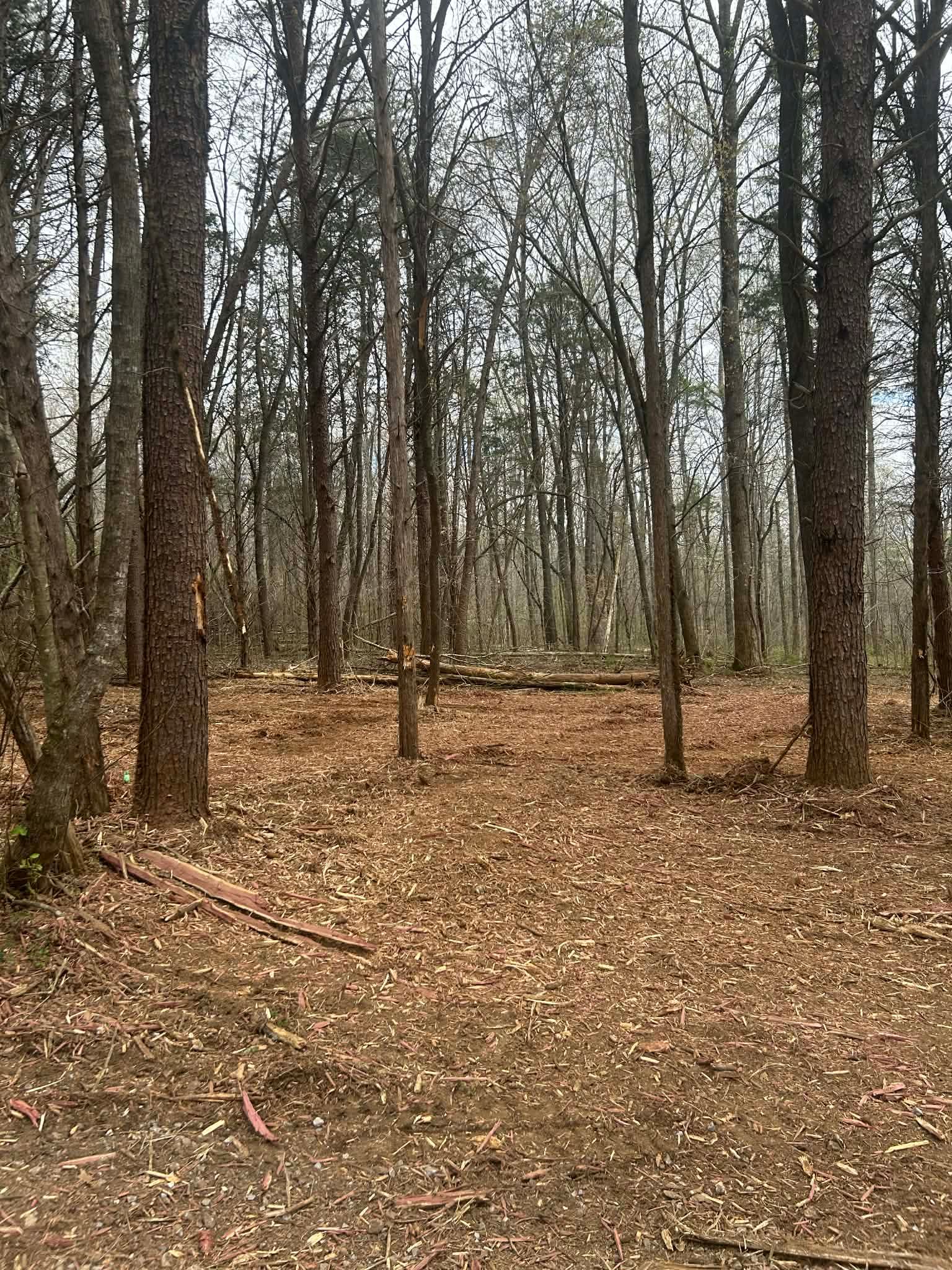  for Z's Land Management & Forestry Mulching in Smithville, TN
