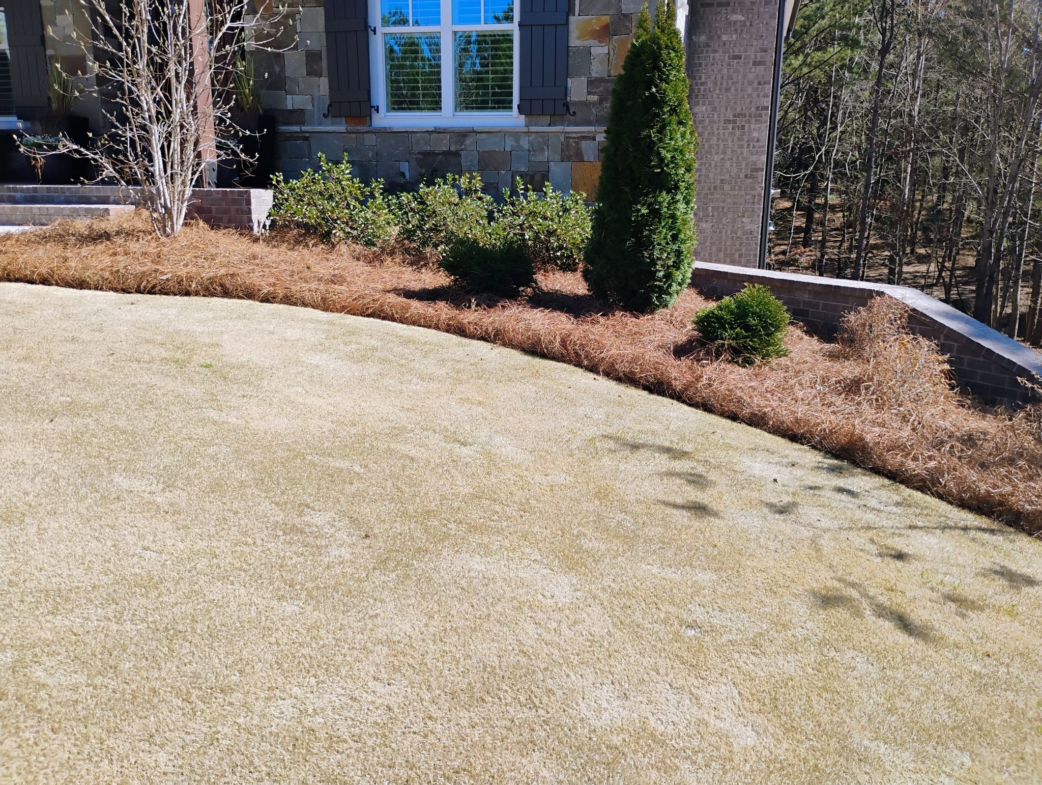 All Photos for BAM Another Pinestraw Lot in Flowery Branch, GA