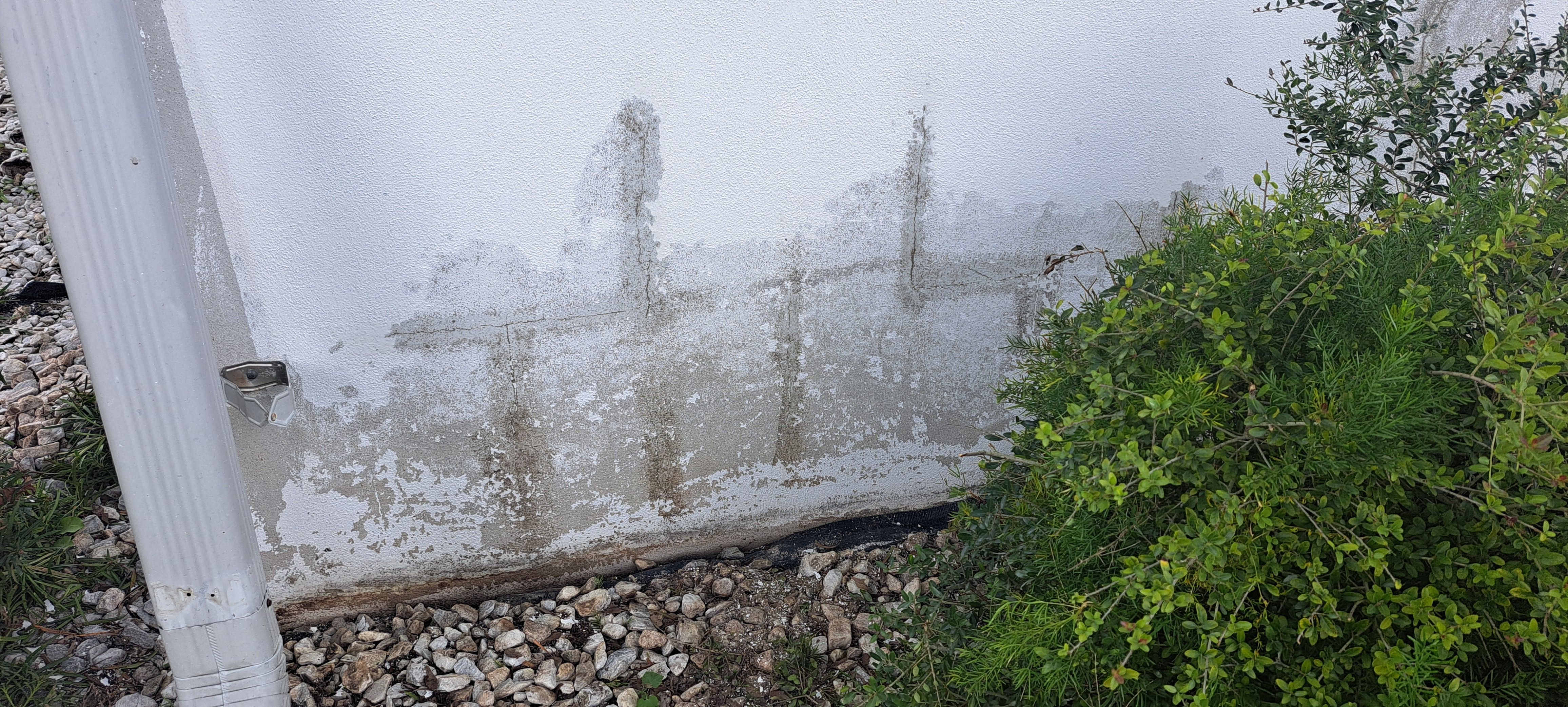  for Perfection Custom Painting LLC in Port Charlotte, FL