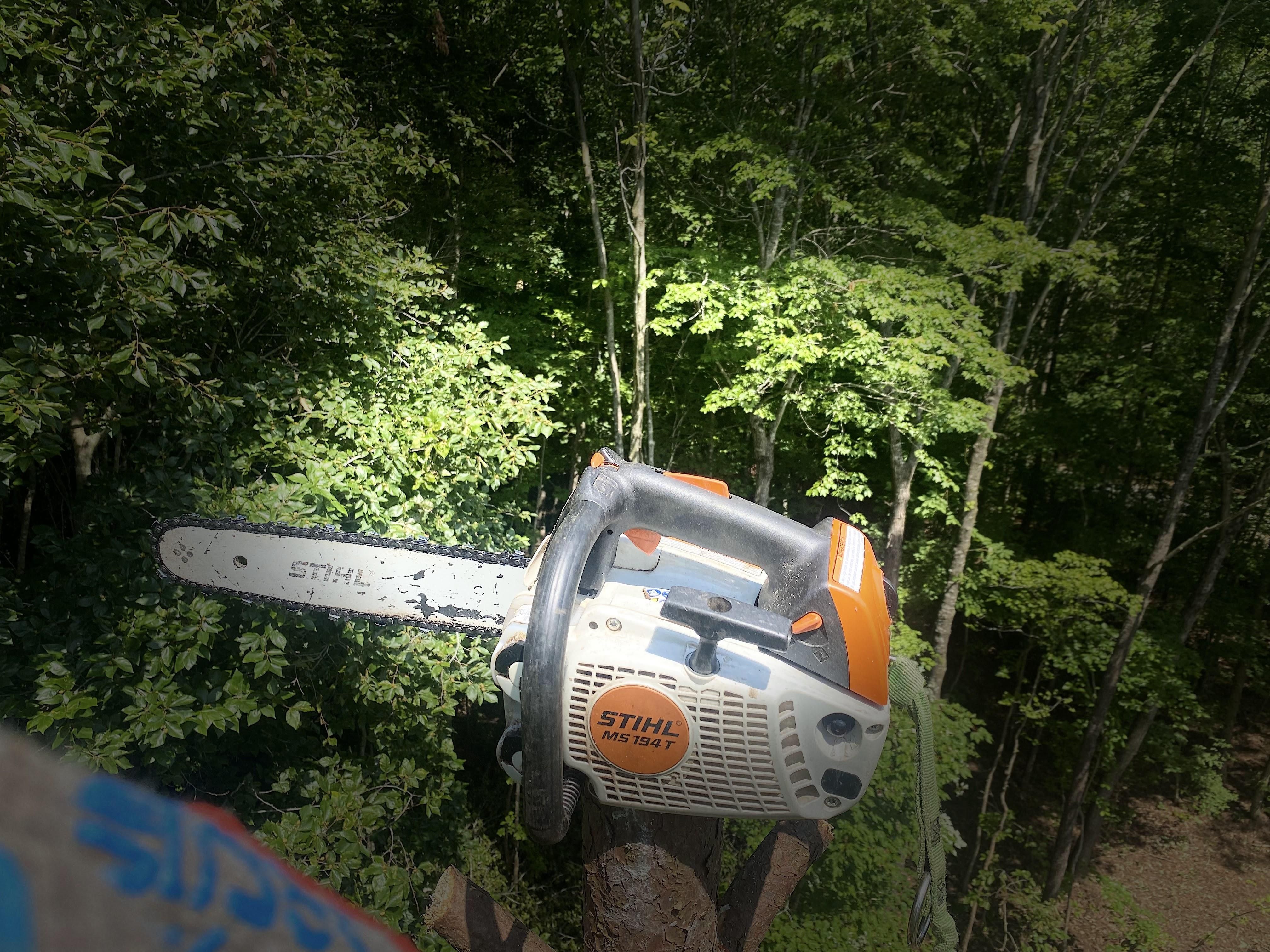  for Ascending Tree Service LLC in Kenbridge, VA