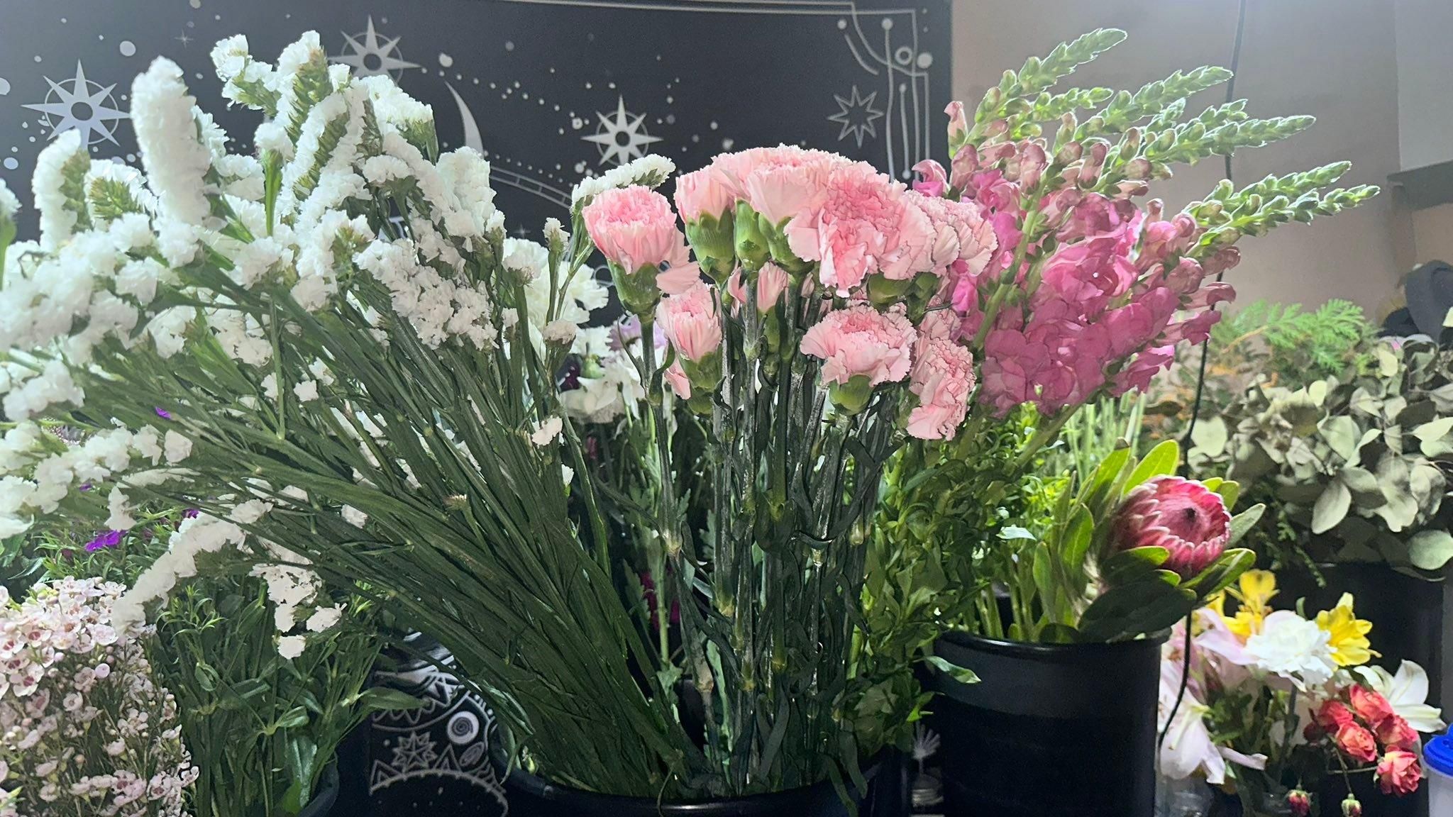  for The Dailey Daisy in Hardwick, VT