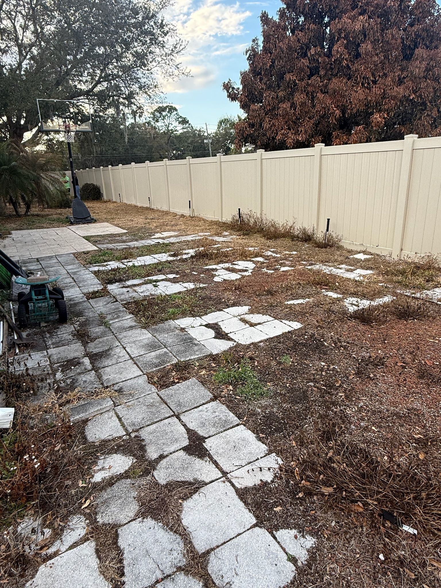  for Amerigrown Tree And Lawn in Apopka, FL