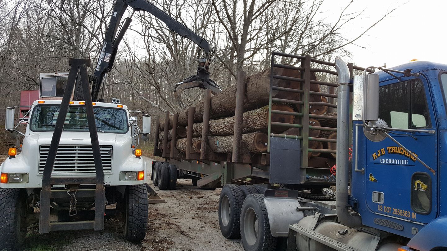 All Photos for Bennett Logging in Gosport, Indiana
