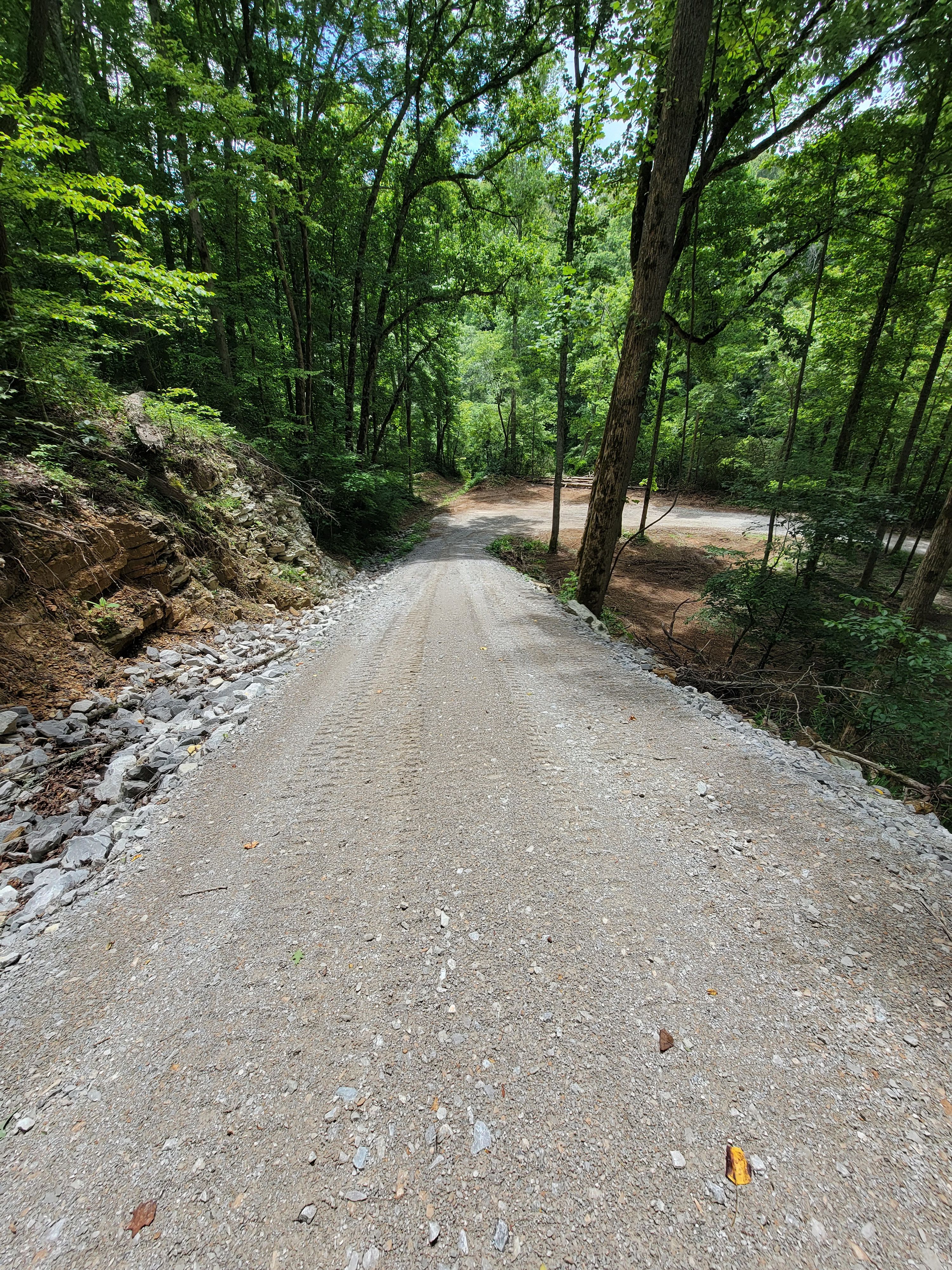  for Z's Land Management & Forestry Mulching in Smithville, TN