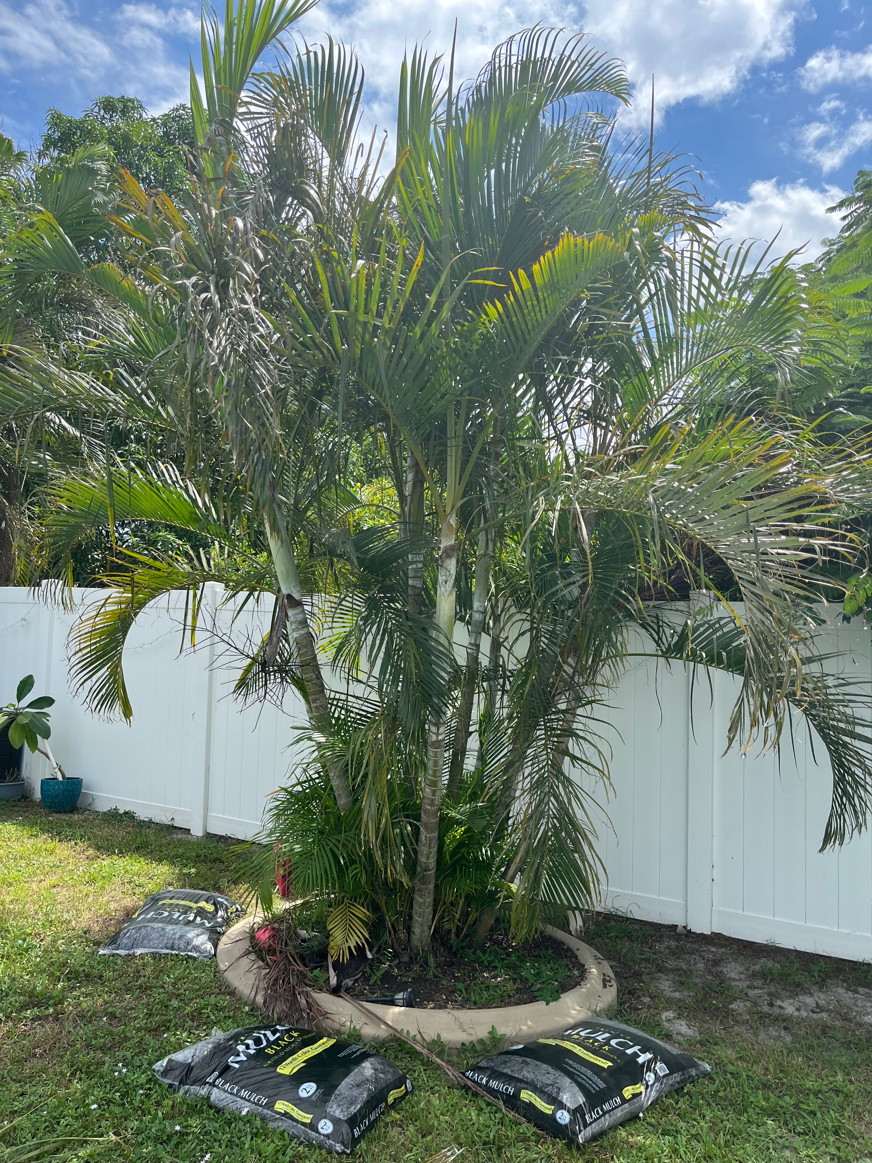  for Space Coast Property Maintenance and Management LLC in Melbourne, FL