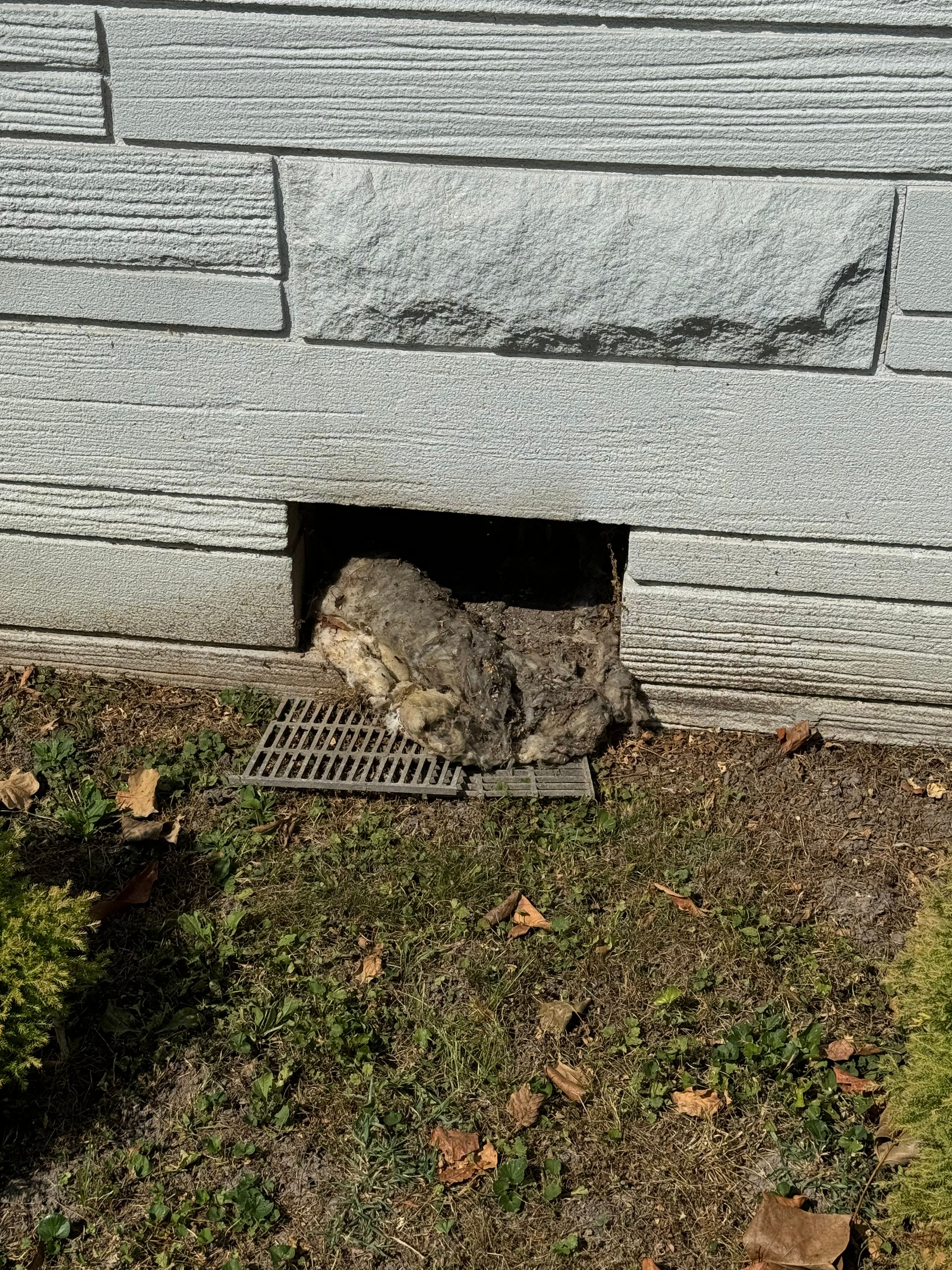  for All-In Pest Control & Home Solutions in Greene County, IN