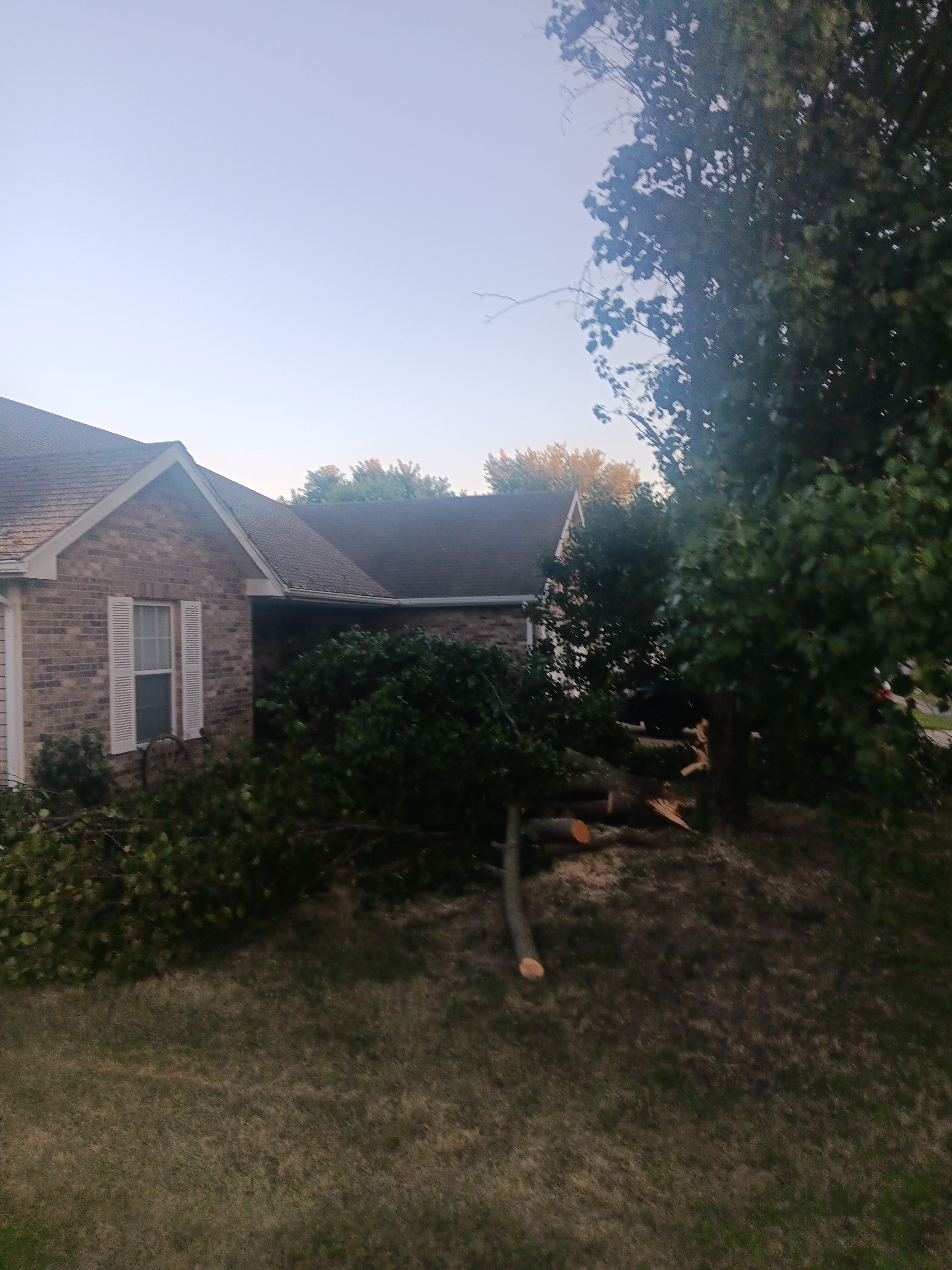  for Sky High Tree Service in Columbia, MO