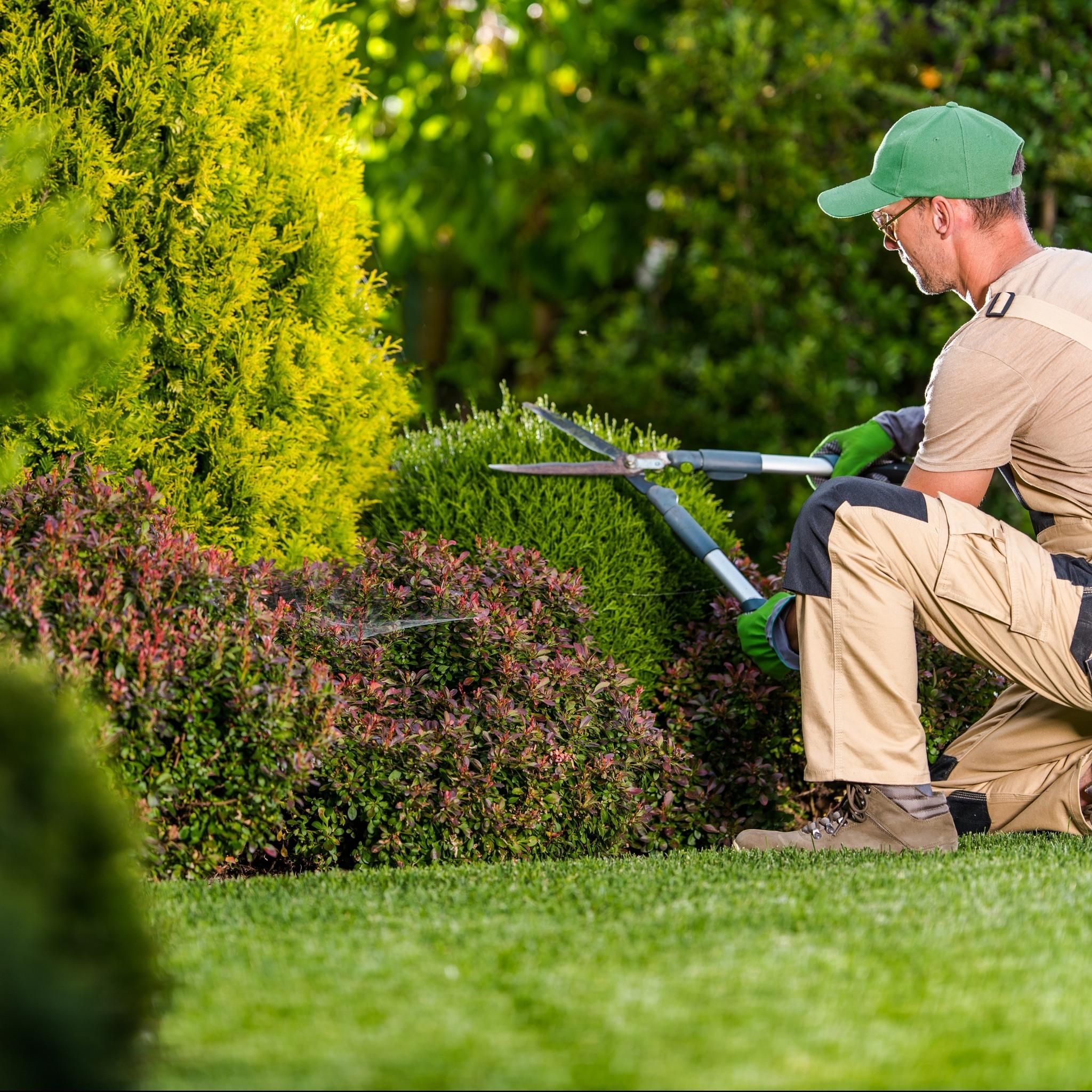  for TopNotch Landscaping Services  in The Villages, FL