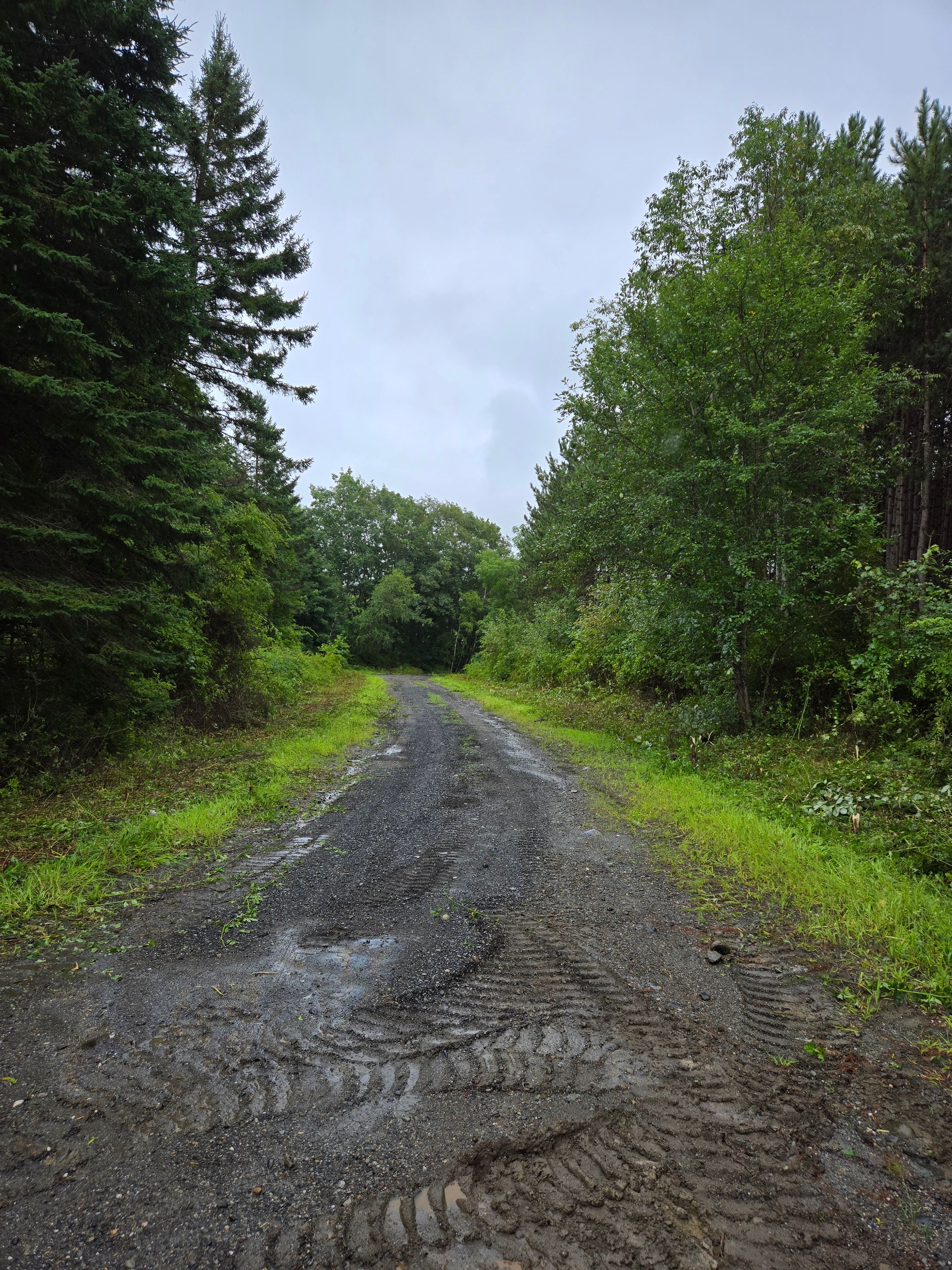 All Photos for Casey's Lawn Service LLC in Orono, ME