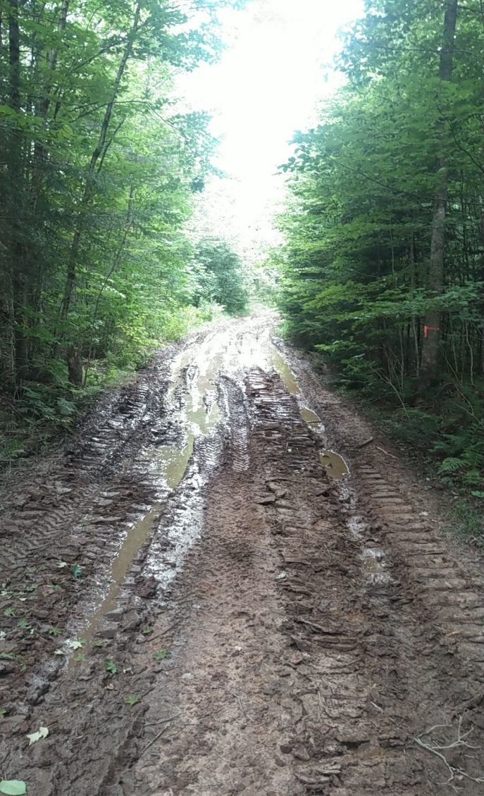  for Damrow’s Excavating in Park Falls, WI