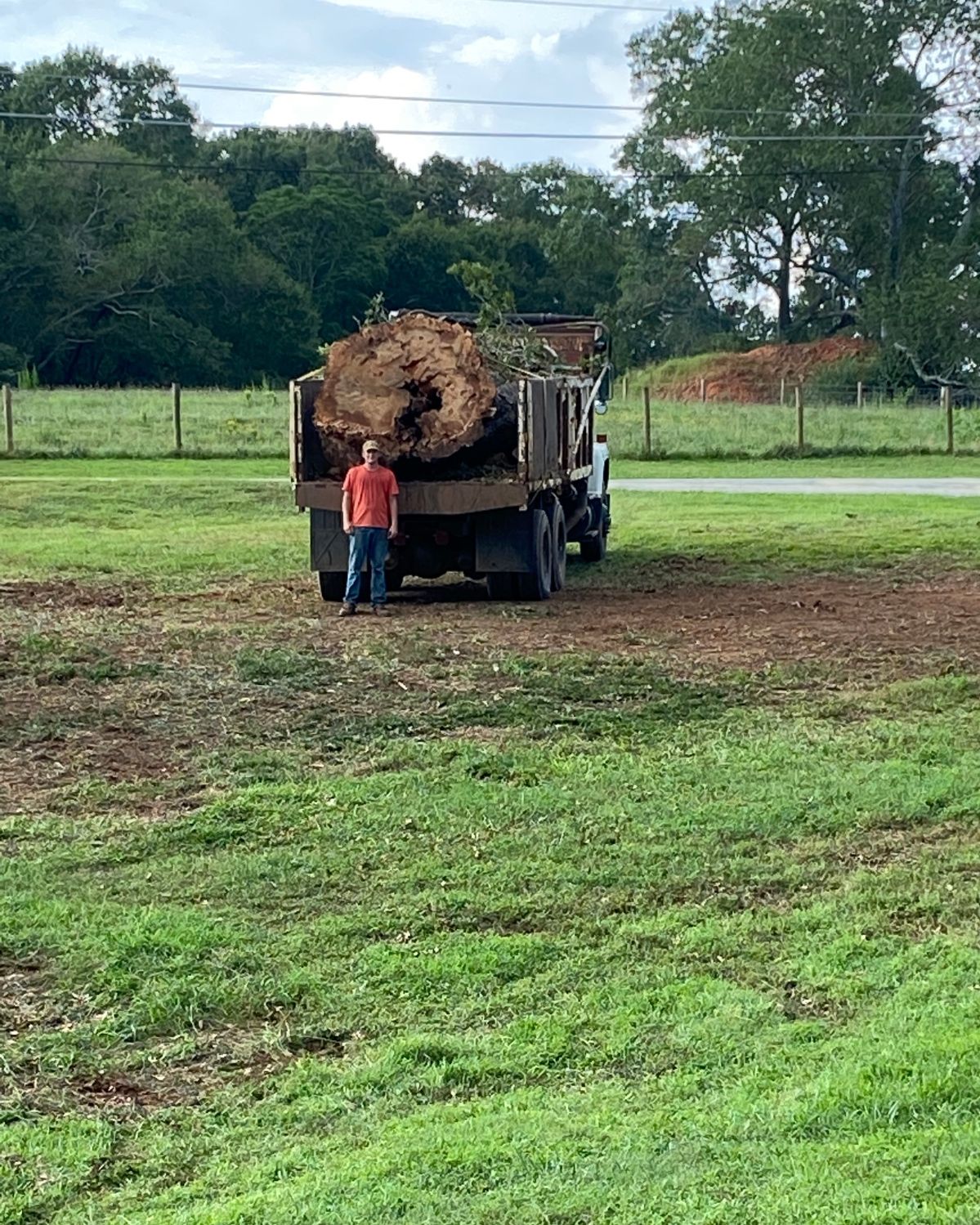 All Photos for Lakeside Tree Experts LLC in Hartwell, GA