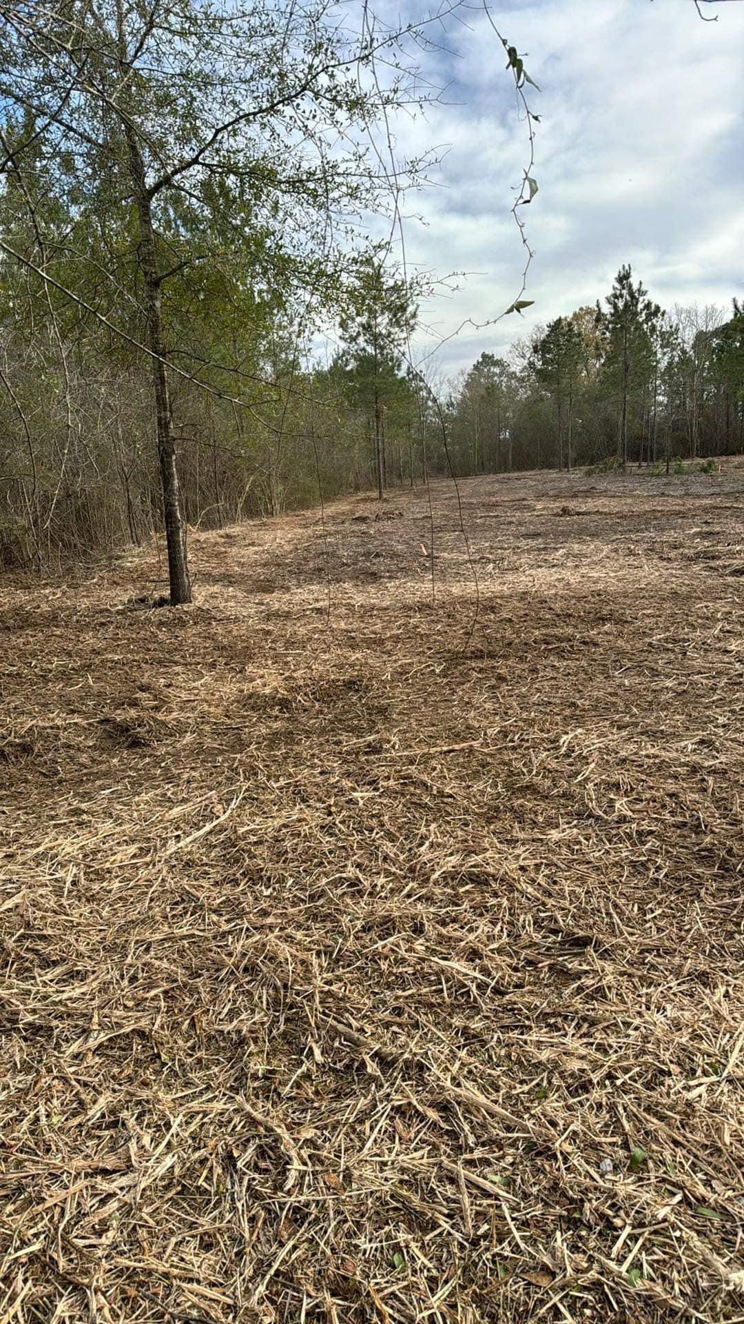 All Photos for White’s Land Maintenance in Milton,, FL