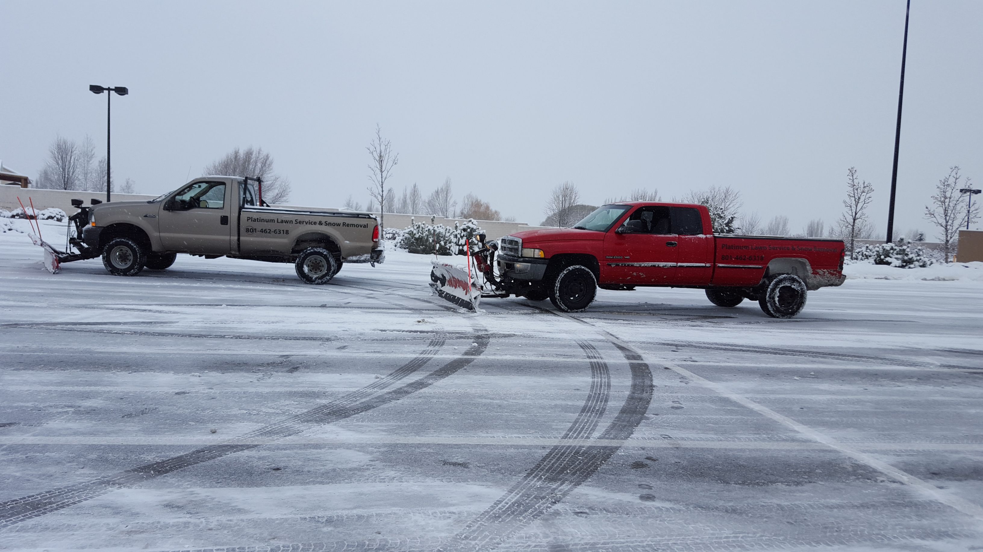  for Platinum Lawn Service in Santaquin, UT