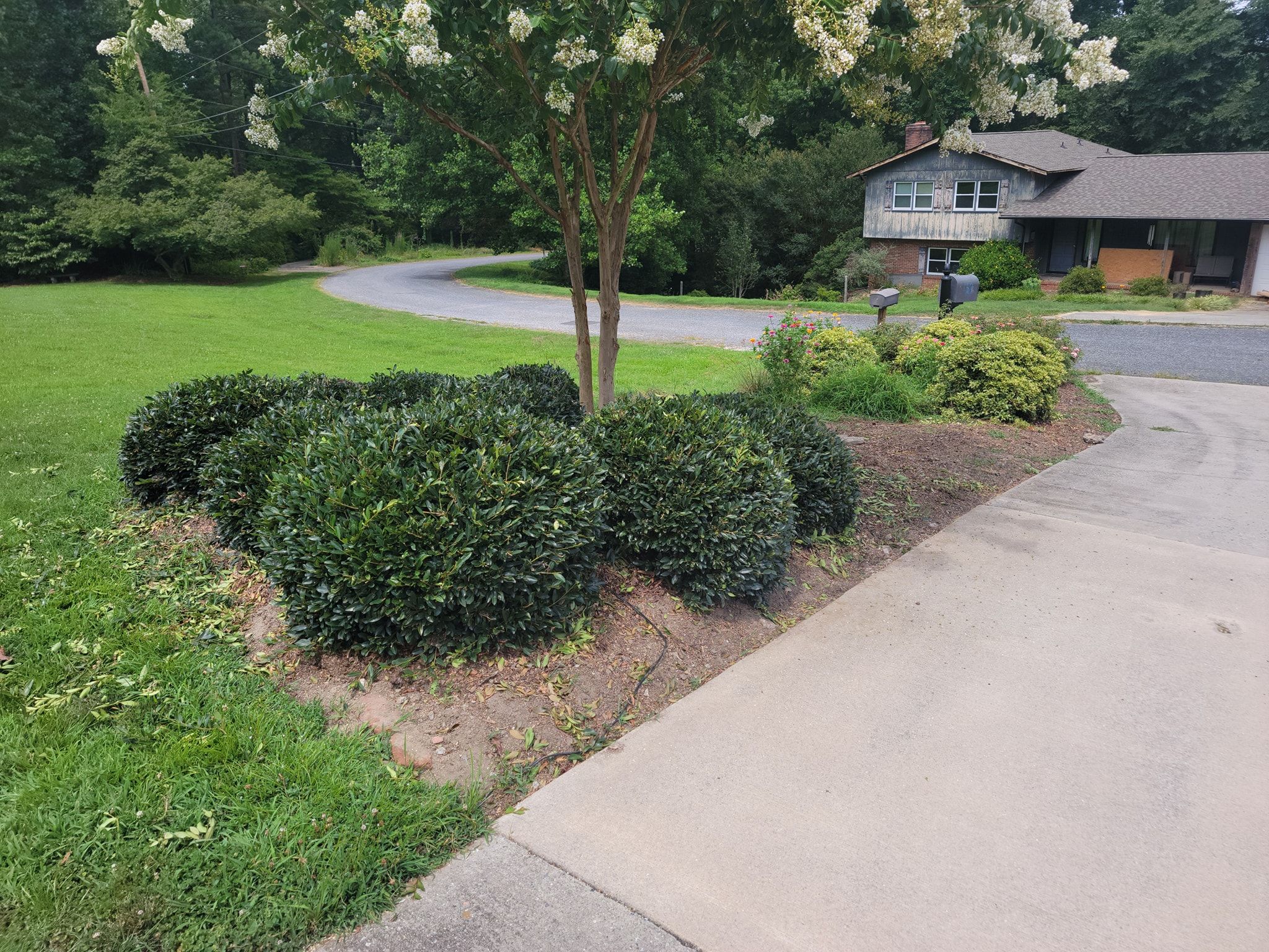  for Piedmont Lawn and Landscaping in Lexington, NC