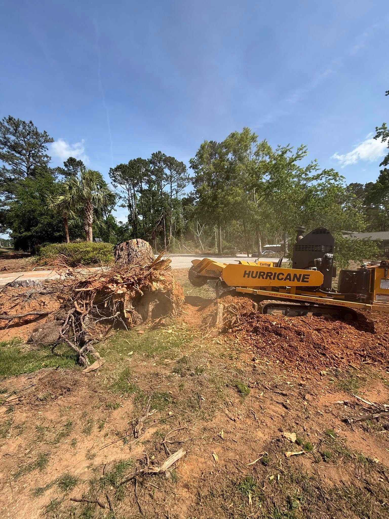  for Dozier Stump Grinding in Augusta, GA
