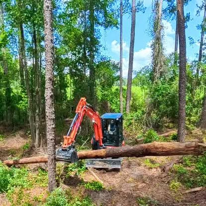  for Family Roots Landworks and Debris Removal in Newberry, FL