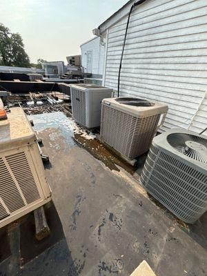 All Photos for Park Place Property Maintenance in Essex County, NJ