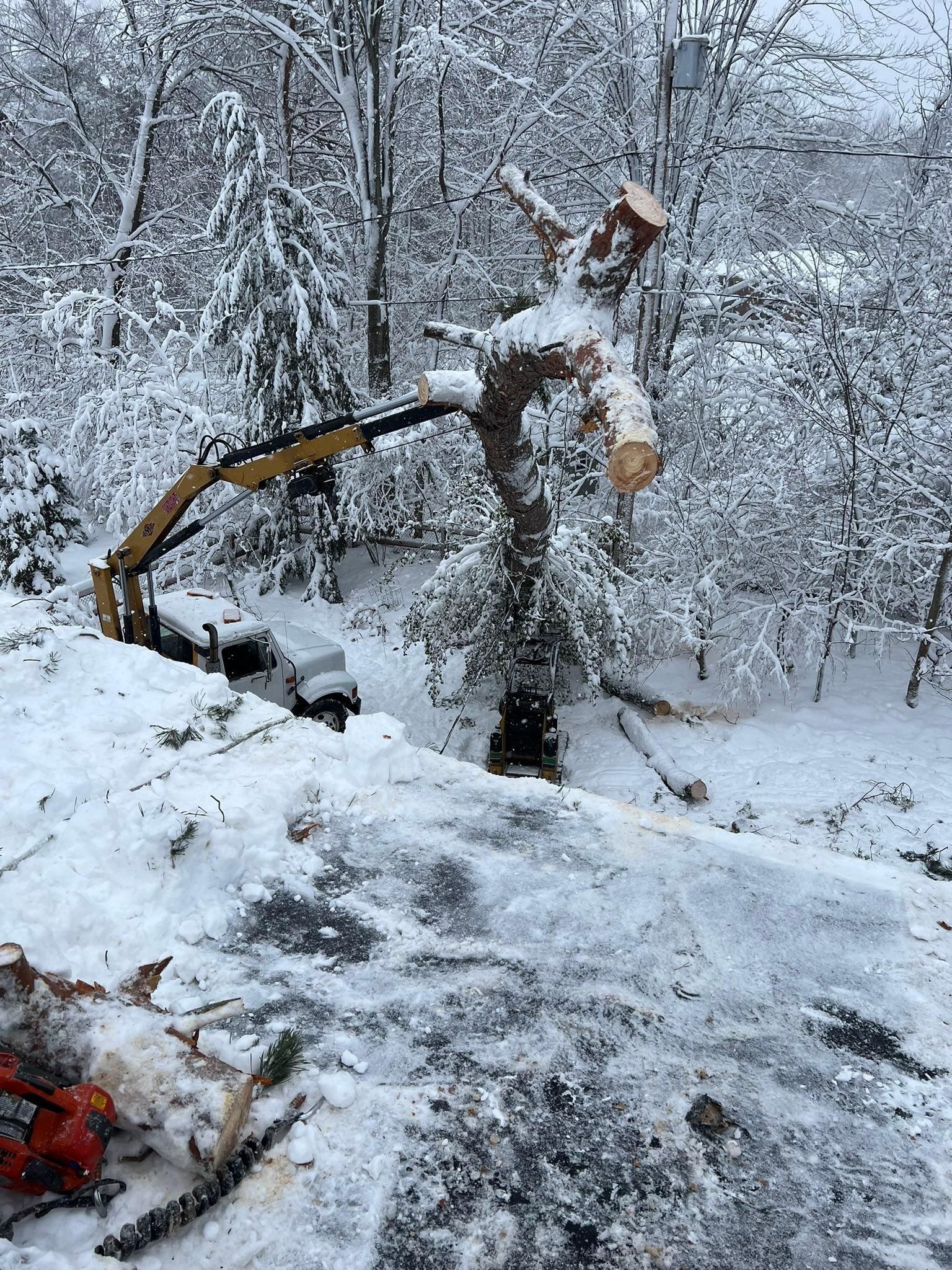  for The Bucking Arborists in Flint, MI