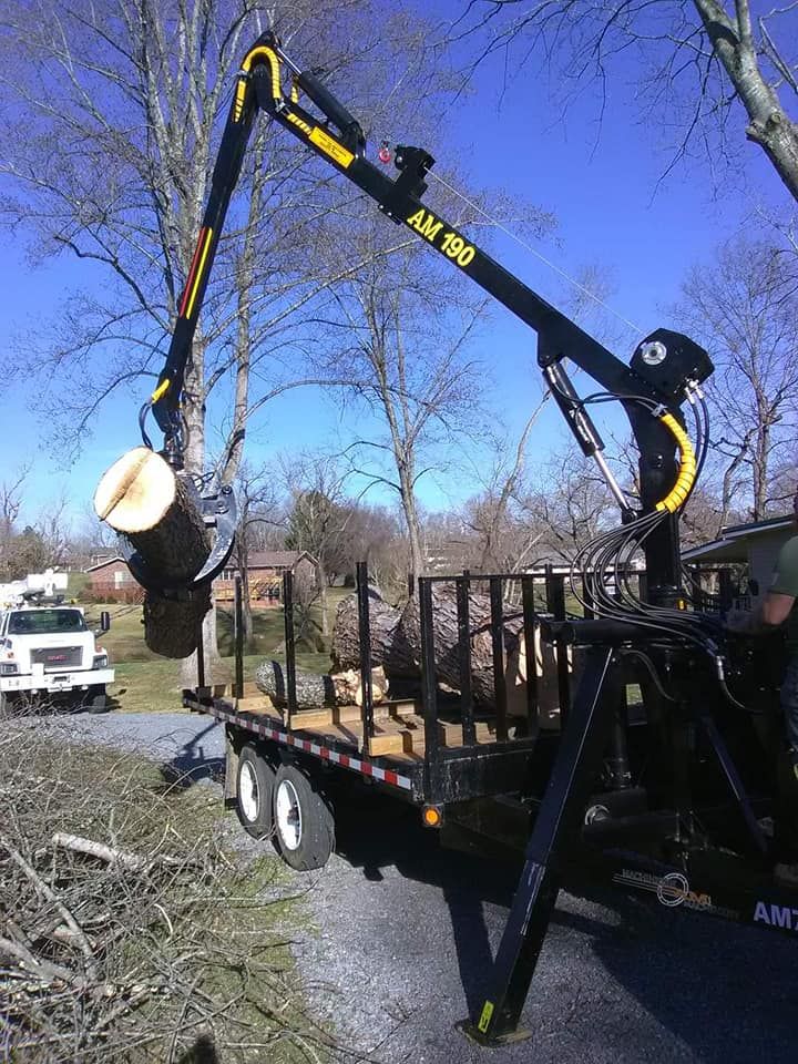  for Reagan & Sons Tree Service in Dandridge, TN