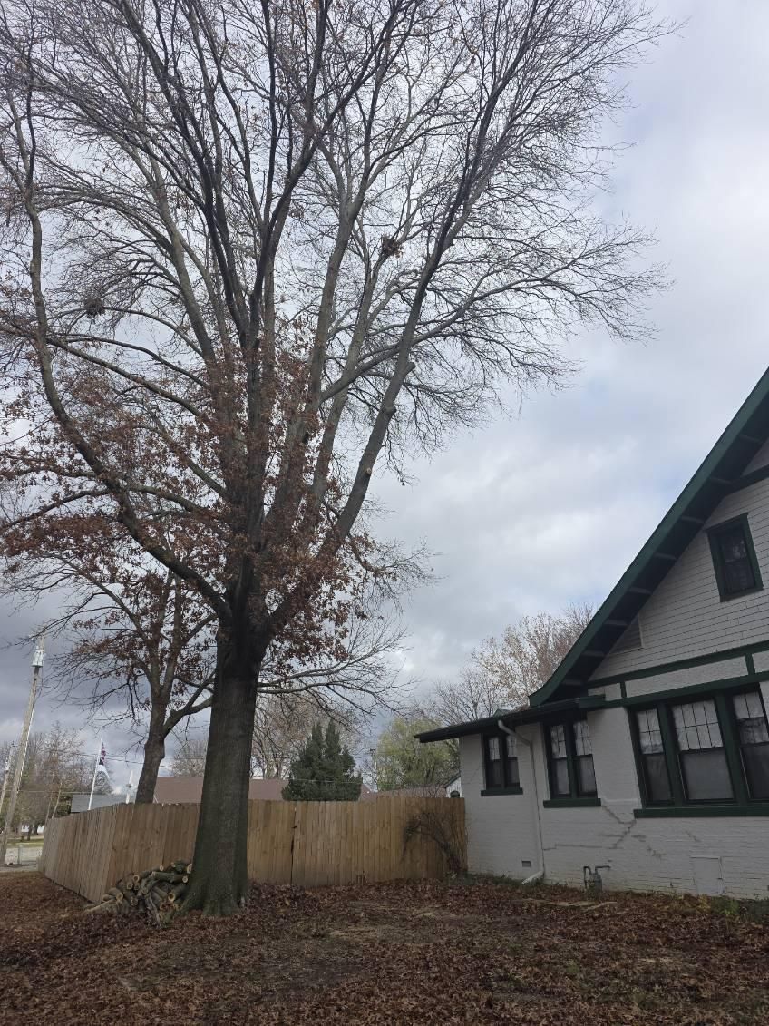  for Oklahoma Tree Guy in Bartlesville, OK