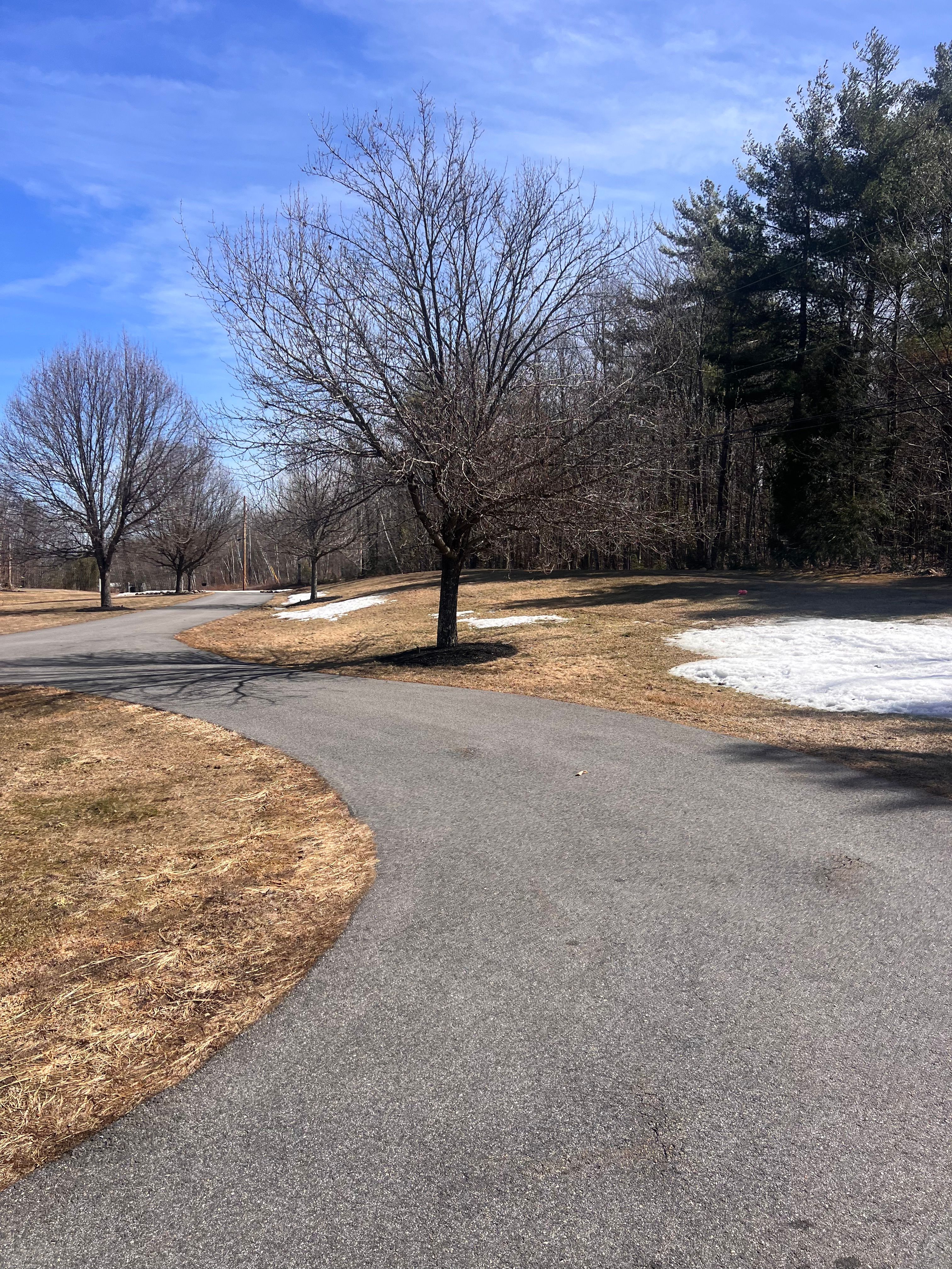  for Poop Pals NH in Gilford, NH