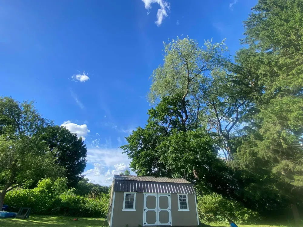 All Photos for Licensed to Cut Tree Service in Athens, PA