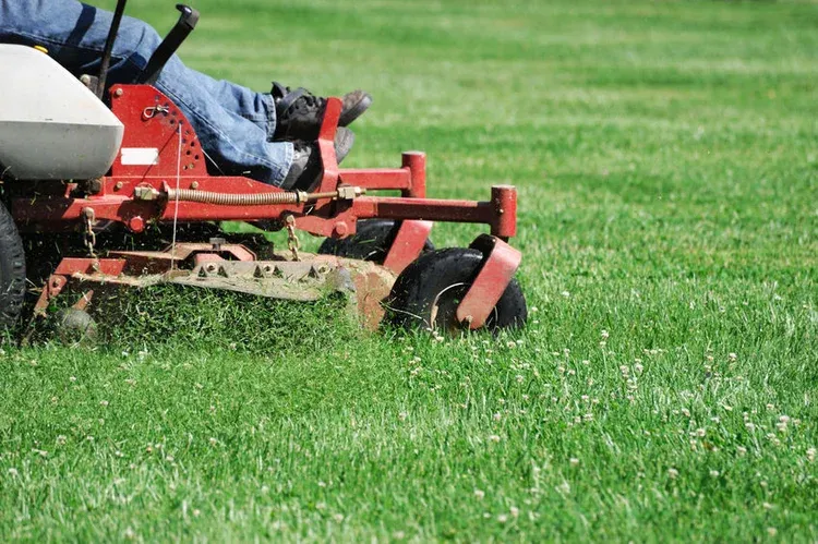 All Photos for Chief Lawn Care in Lee's Summit, MO