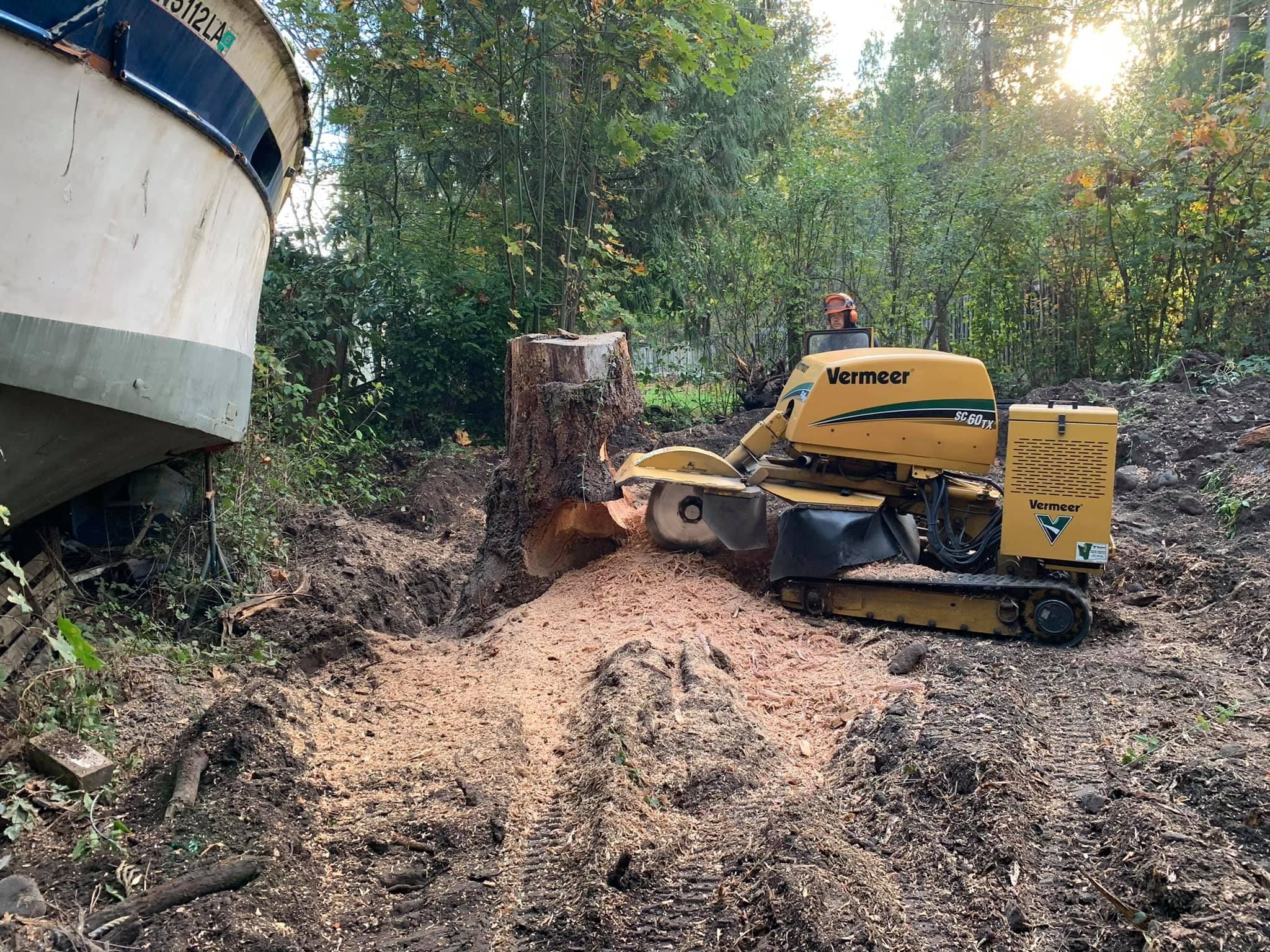  for Wilderness Stump Grinding in Orting, WA