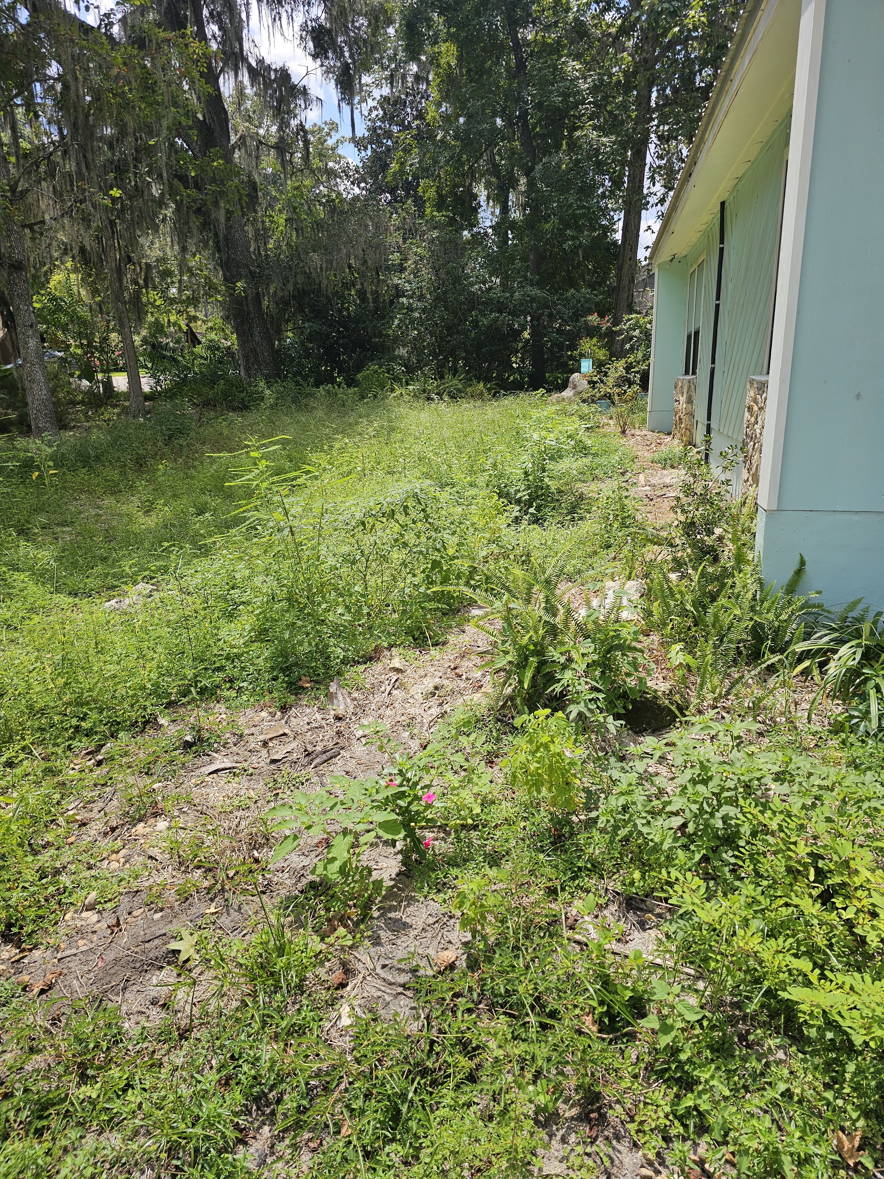  for Deeper Roots Landscape in High Springs, FL