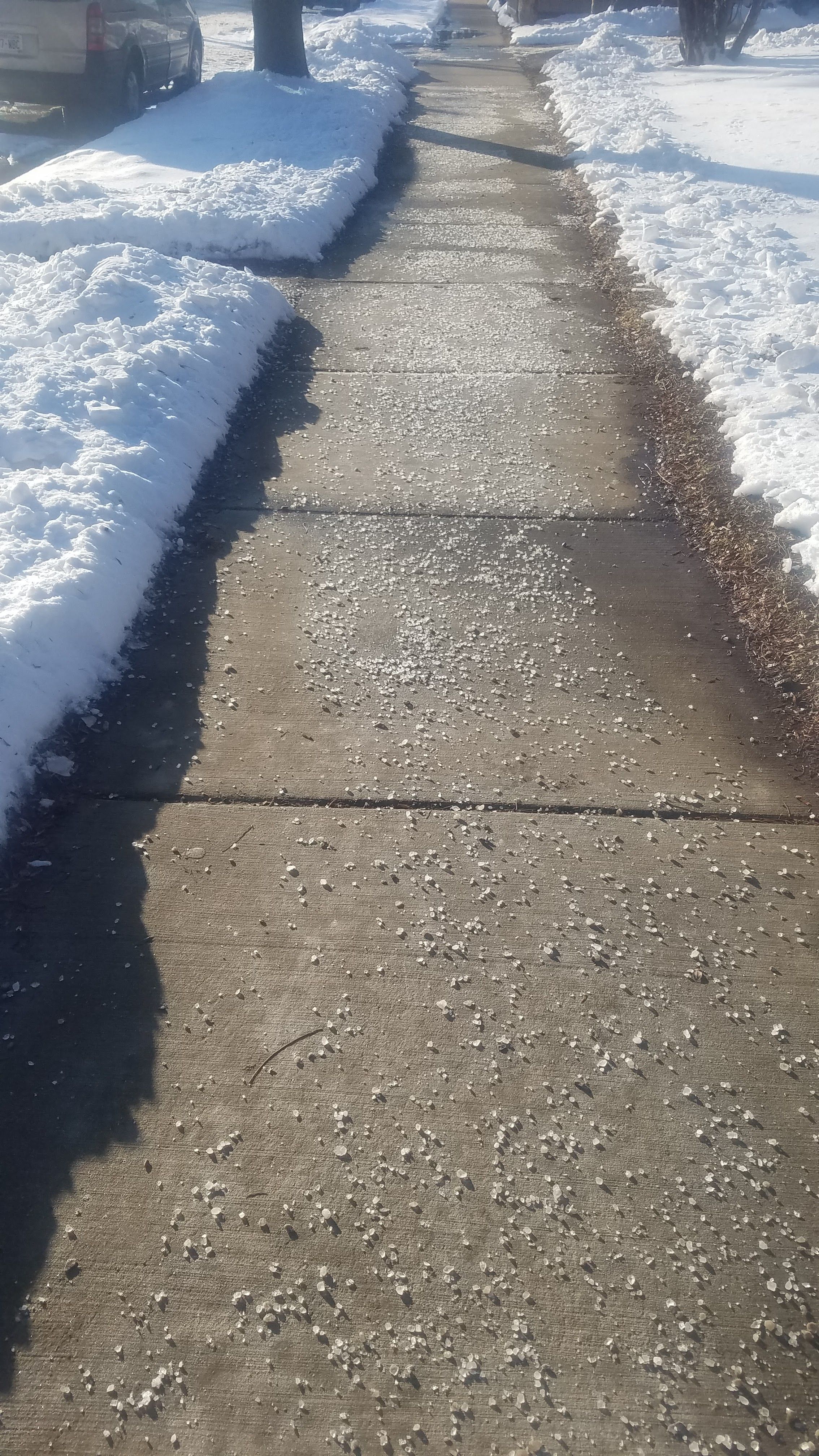  for Perfect Lawn Solutions LLC in Marshall, WI