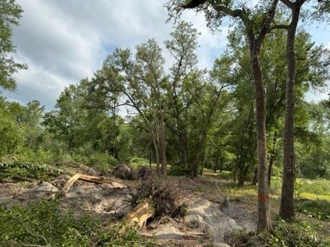  for All Seasons Tree and Land Works in Trenton, FL