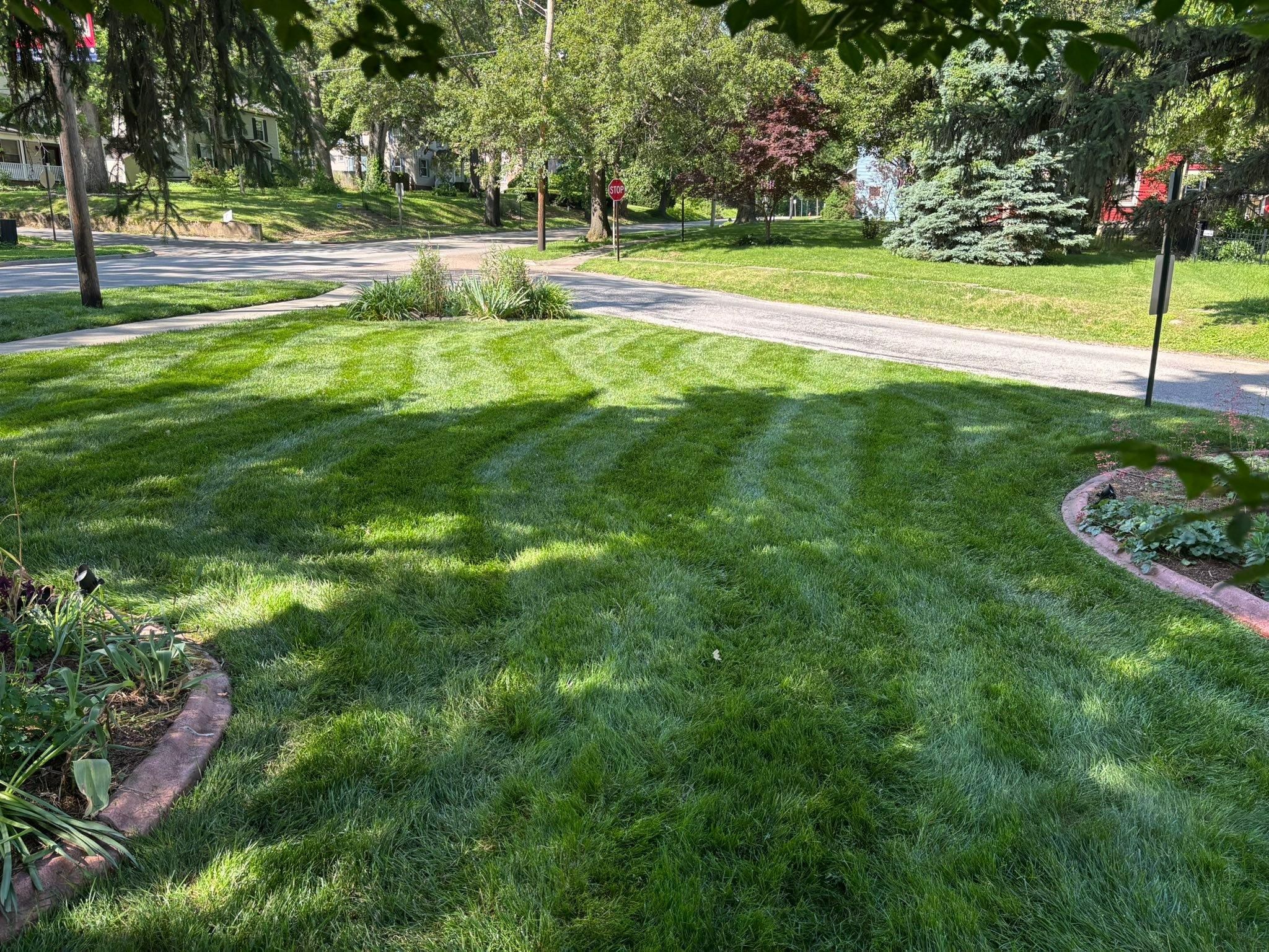  for Andrew's Lawn Service LLC in Lebanon, IL
