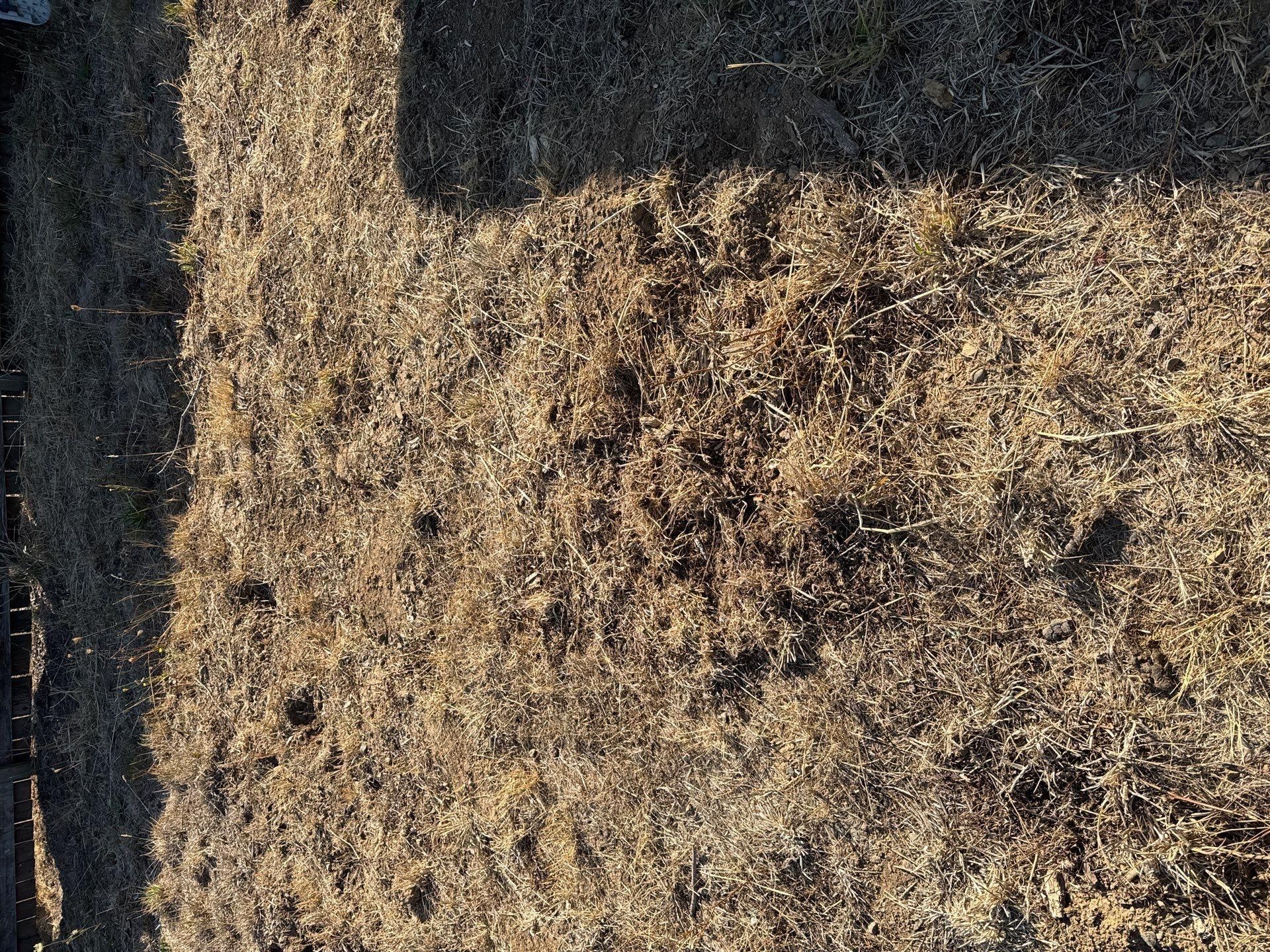  for Willamette Landscaping and Tree Services in Albany, OR