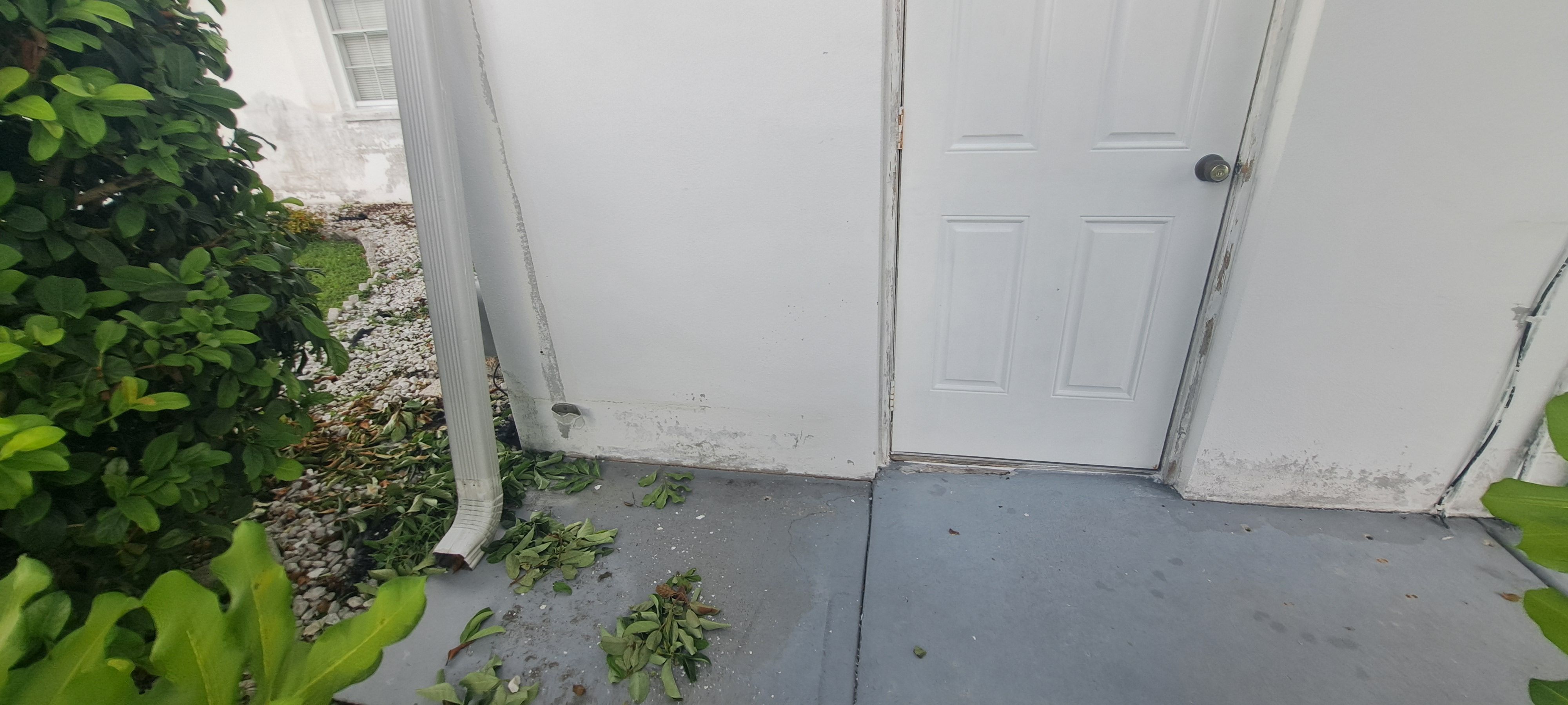  for Perfection Custom Painting LLC in Port Charlotte, FL