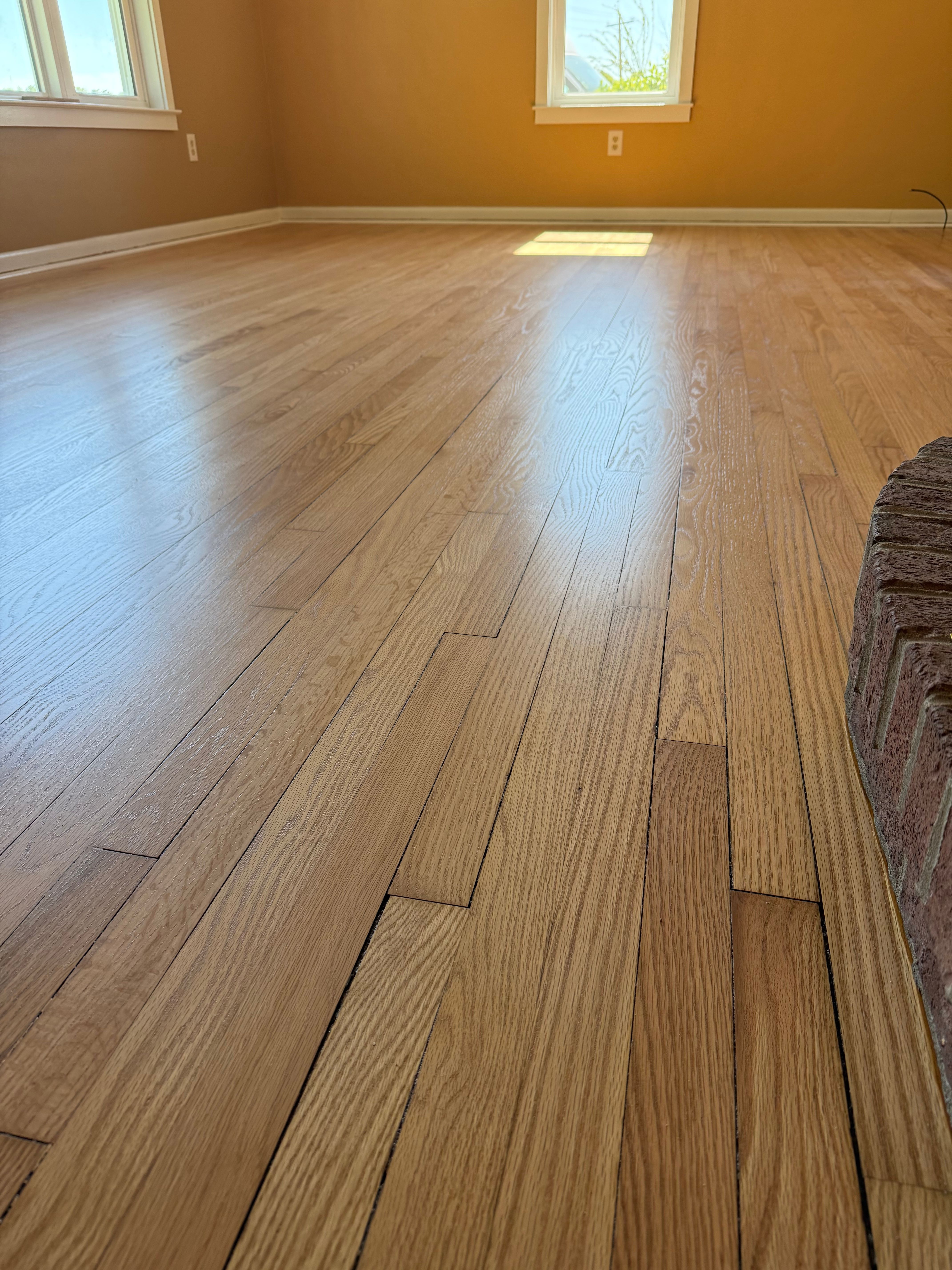  for Finely Finished LLC in Wyoming, DE