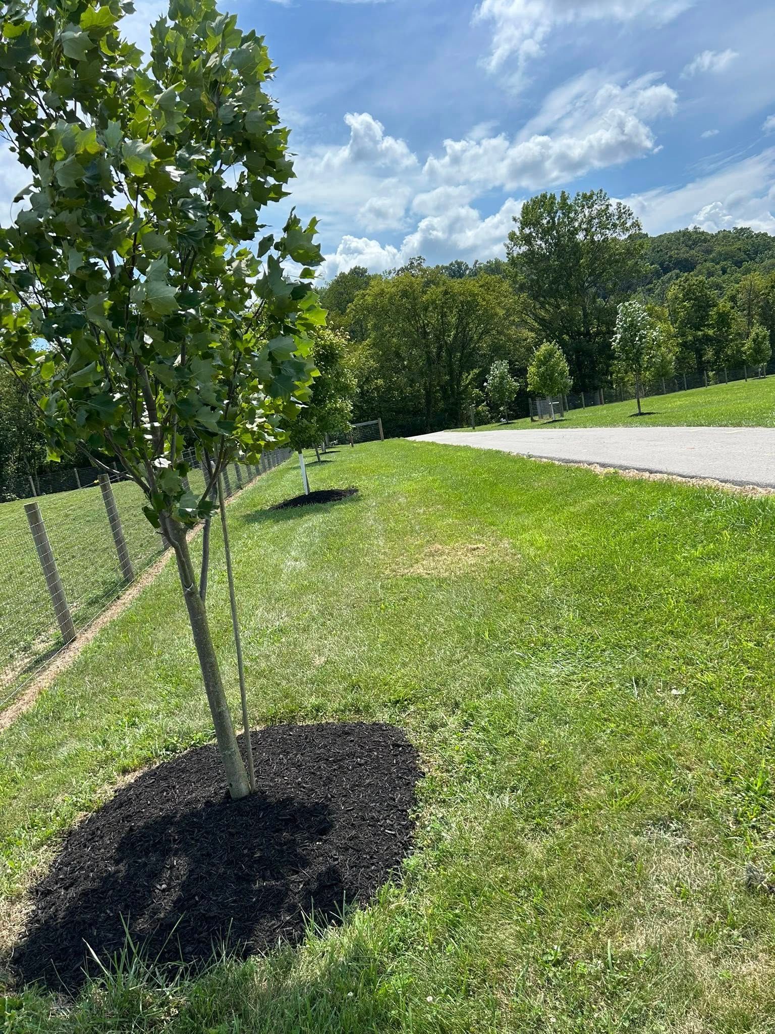 Landscaping for Gullion’s Lawn and Landscaping in DeMossville, KY