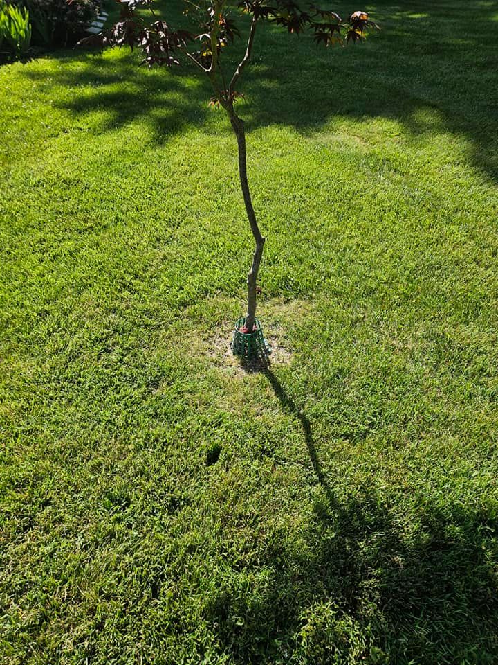 Mowing for Browns Grounds in Culpeper, VA